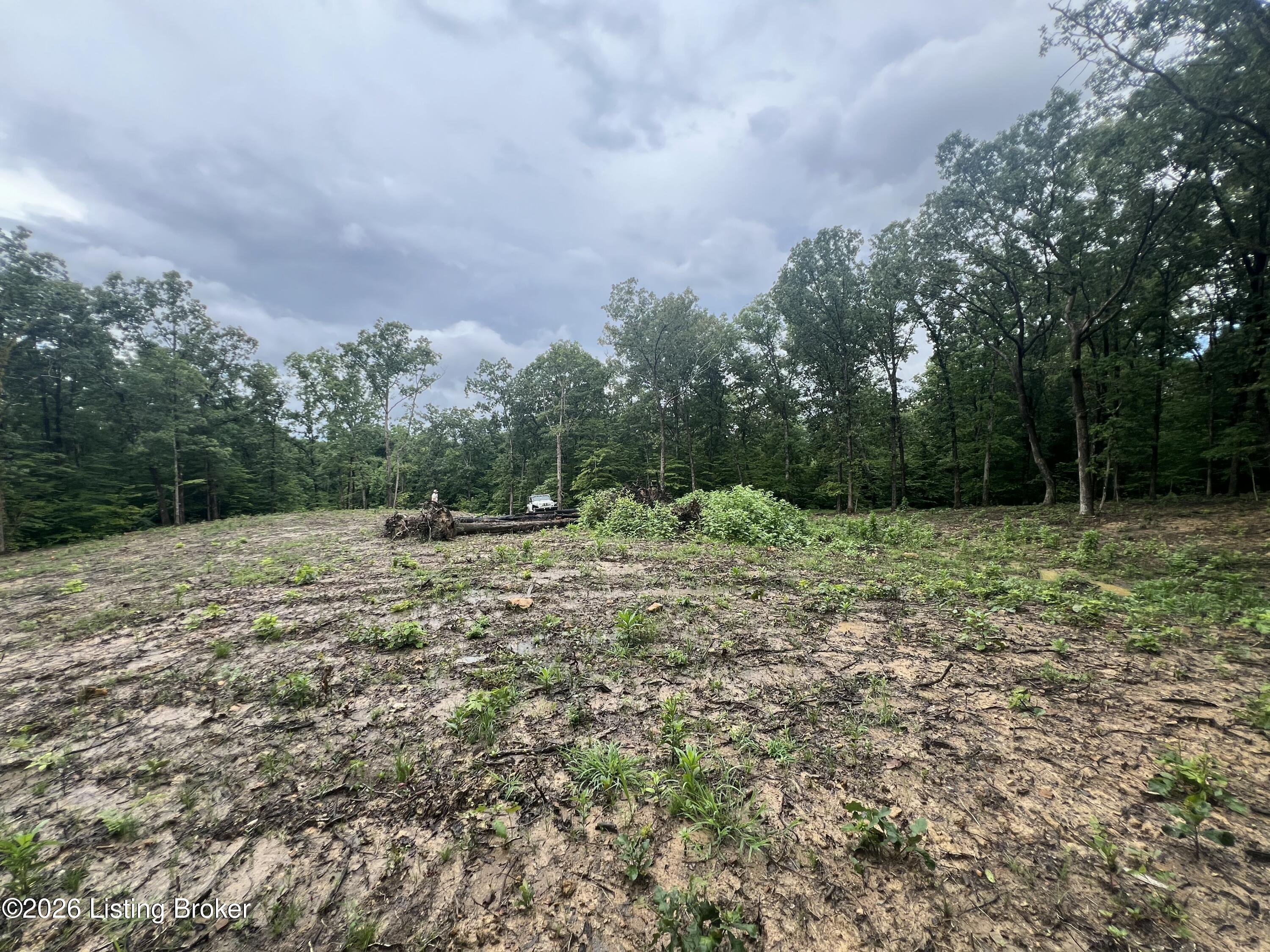 550 Wilson Creek Rd Property Photo 7