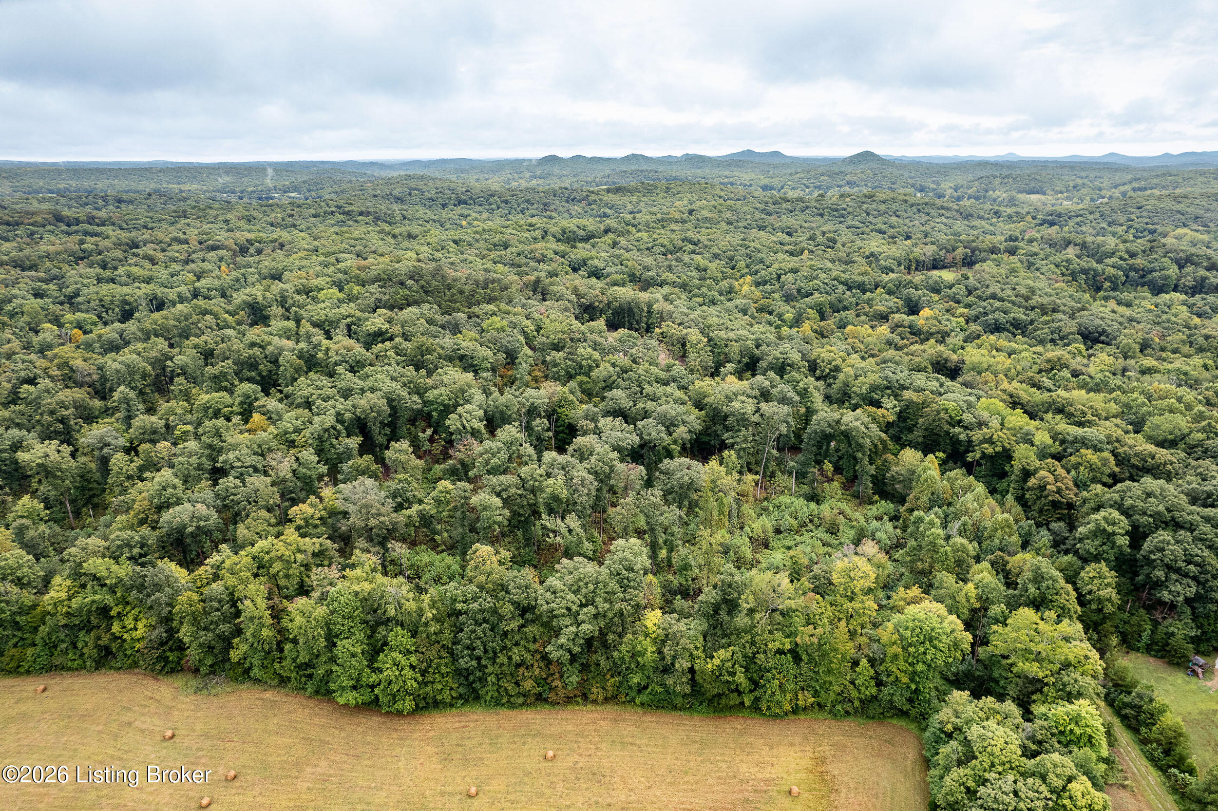 550 Wilson Creek Rd Property Photo 10