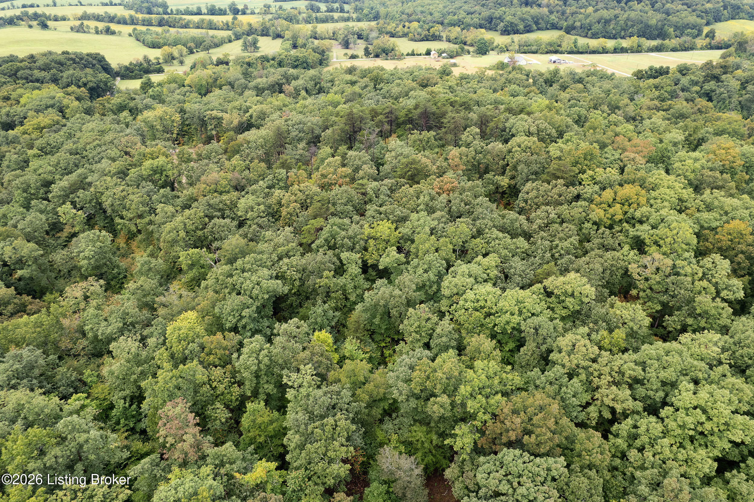 550 Wilson Creek Rd Property Photo 11