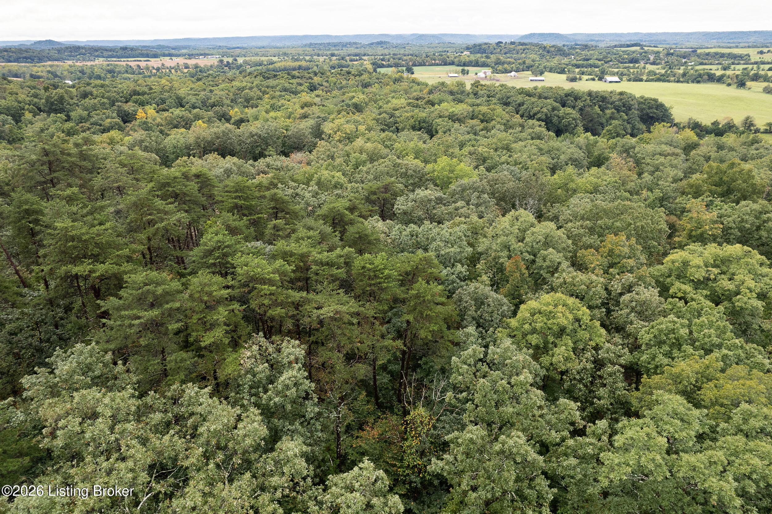 550 Wilson Creek Rd Property Photo 13