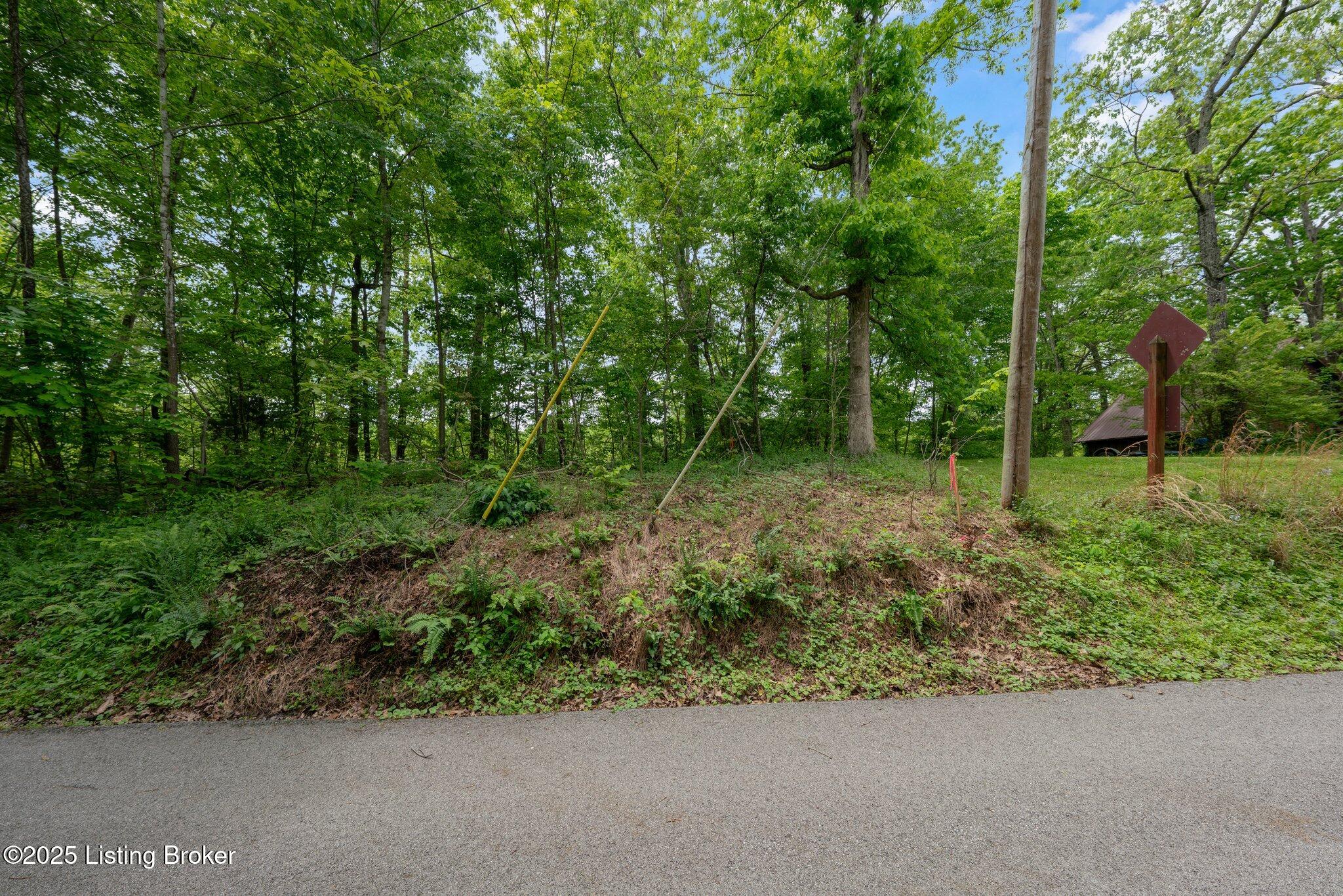 107 E Forest Dr Property Photo 5