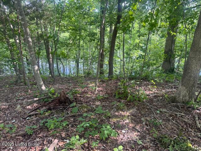 107 E Forest Dr Property Photo 6