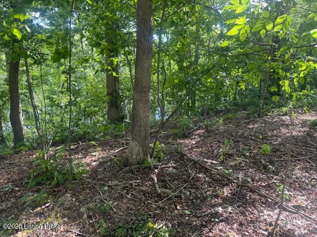 107 E Forest Dr Property Photo 7