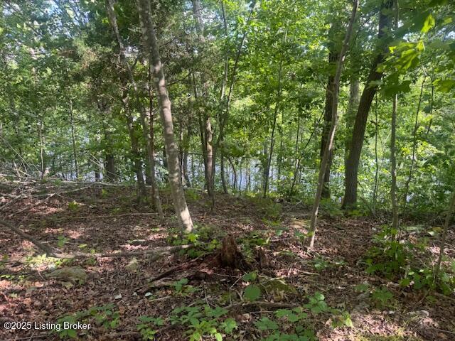 107 E Forest Dr Property Photo 8