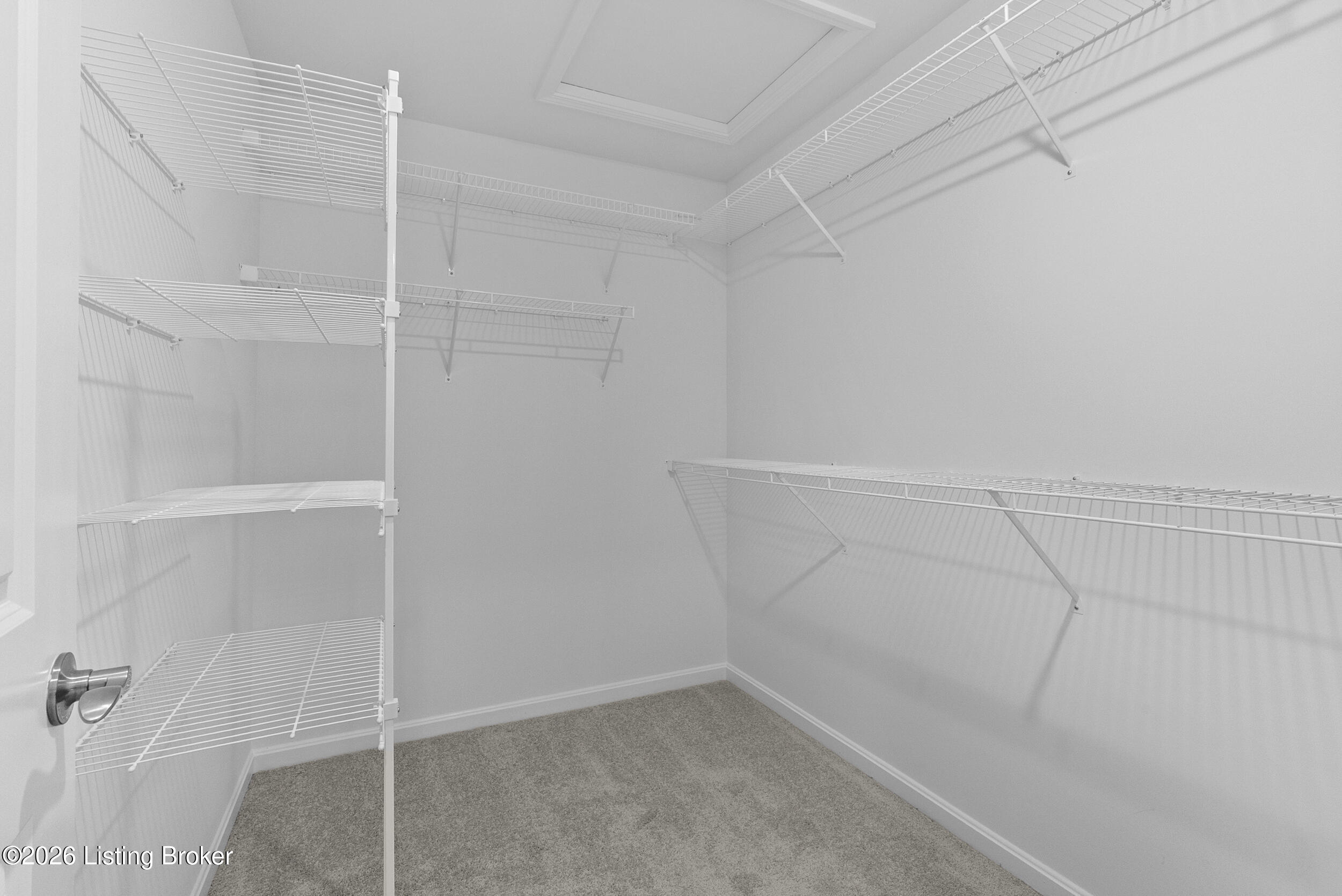7812 Annalisa Dr Property Photo 36