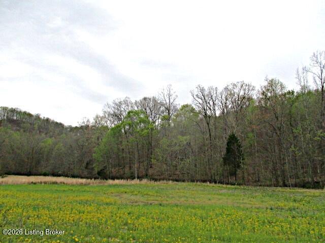 Lot 38 Sulphur Lick Rd