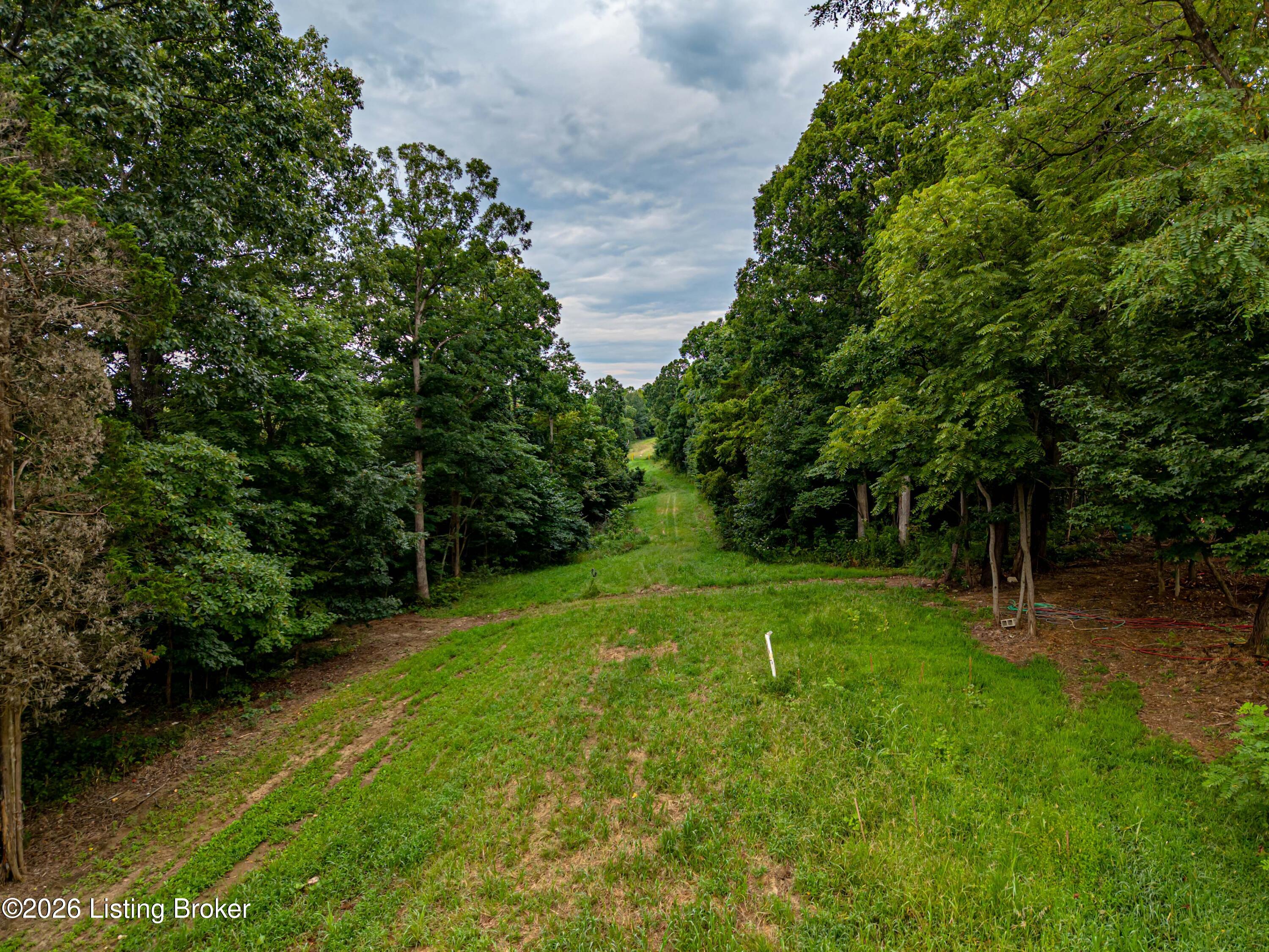 295 Bray Ridge Rd Property Photo 56