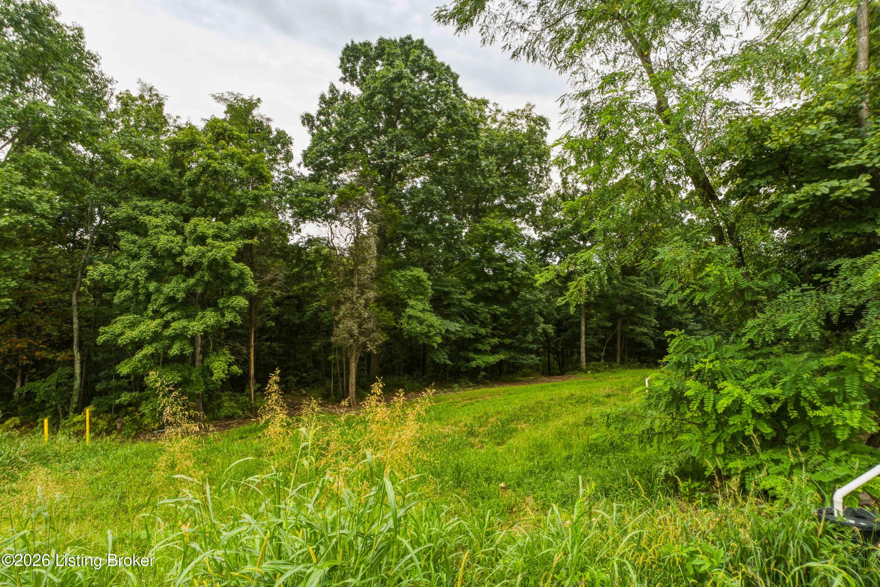 295 Bray Ridge Rd Property Photo 64