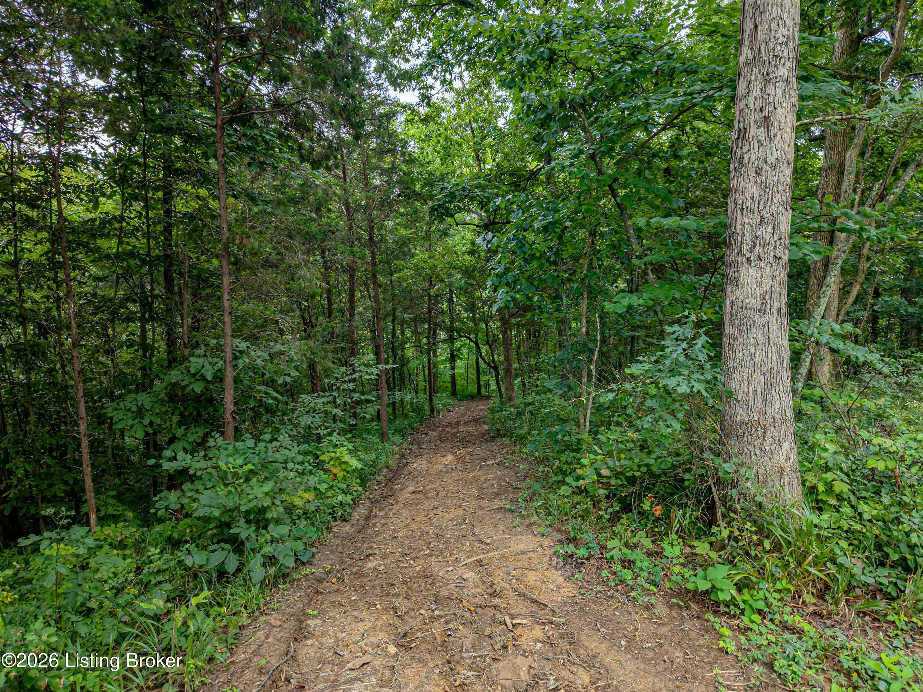 295 Bray Ridge Rd Property Photo 66