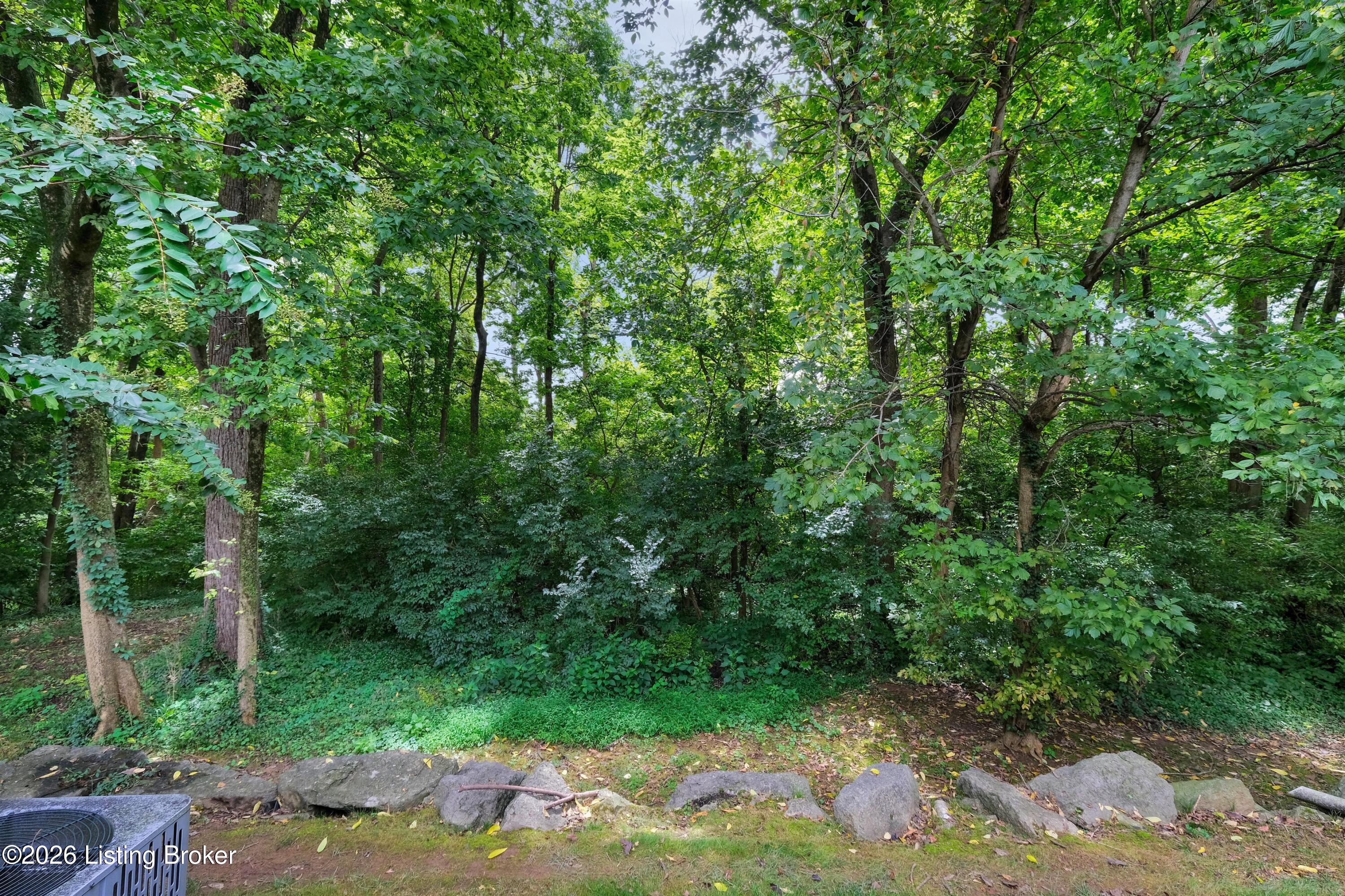 360 Crescent Spring Dr Property Photo 46