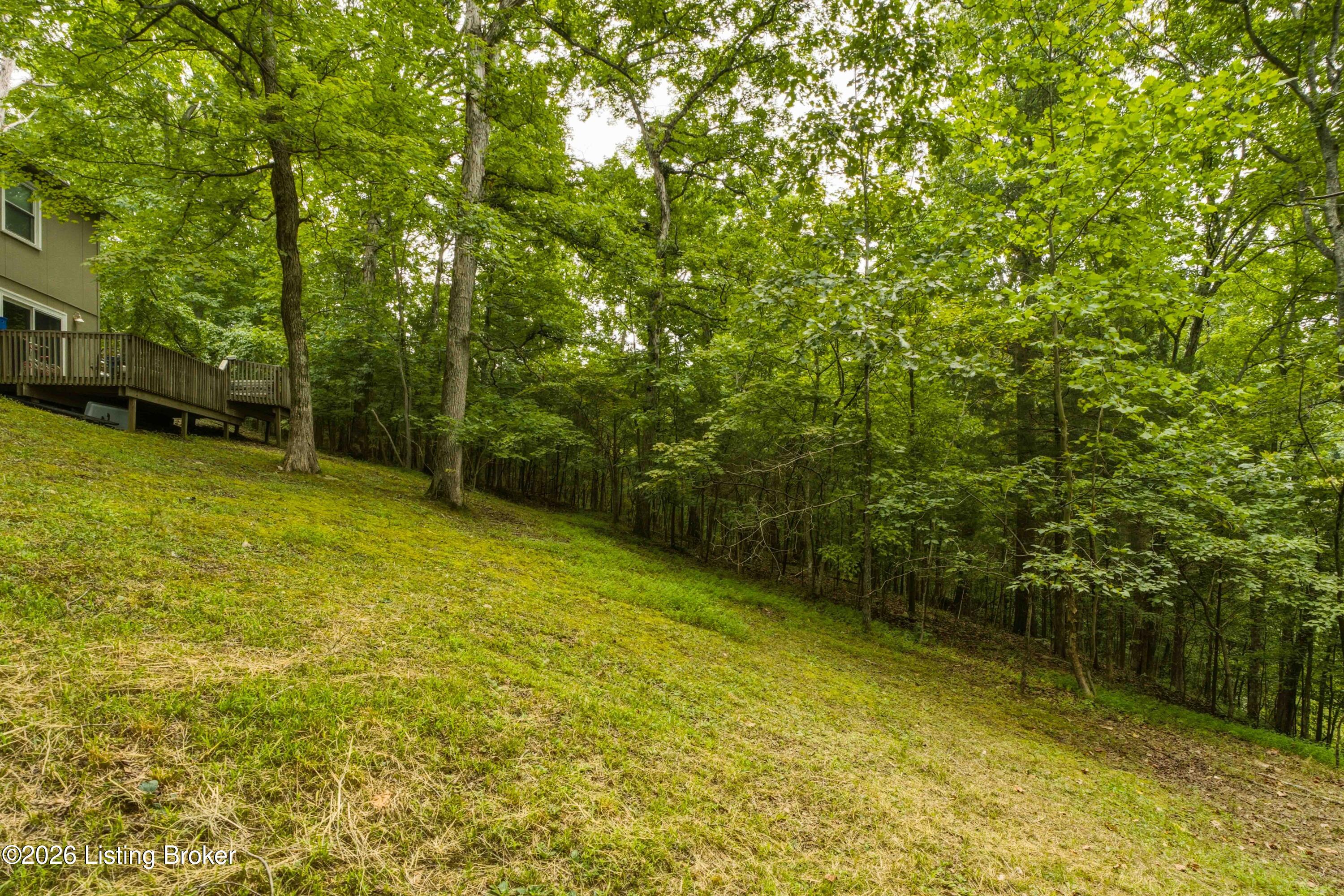 957 Wildflower Ridge Rd Property Photo 51
