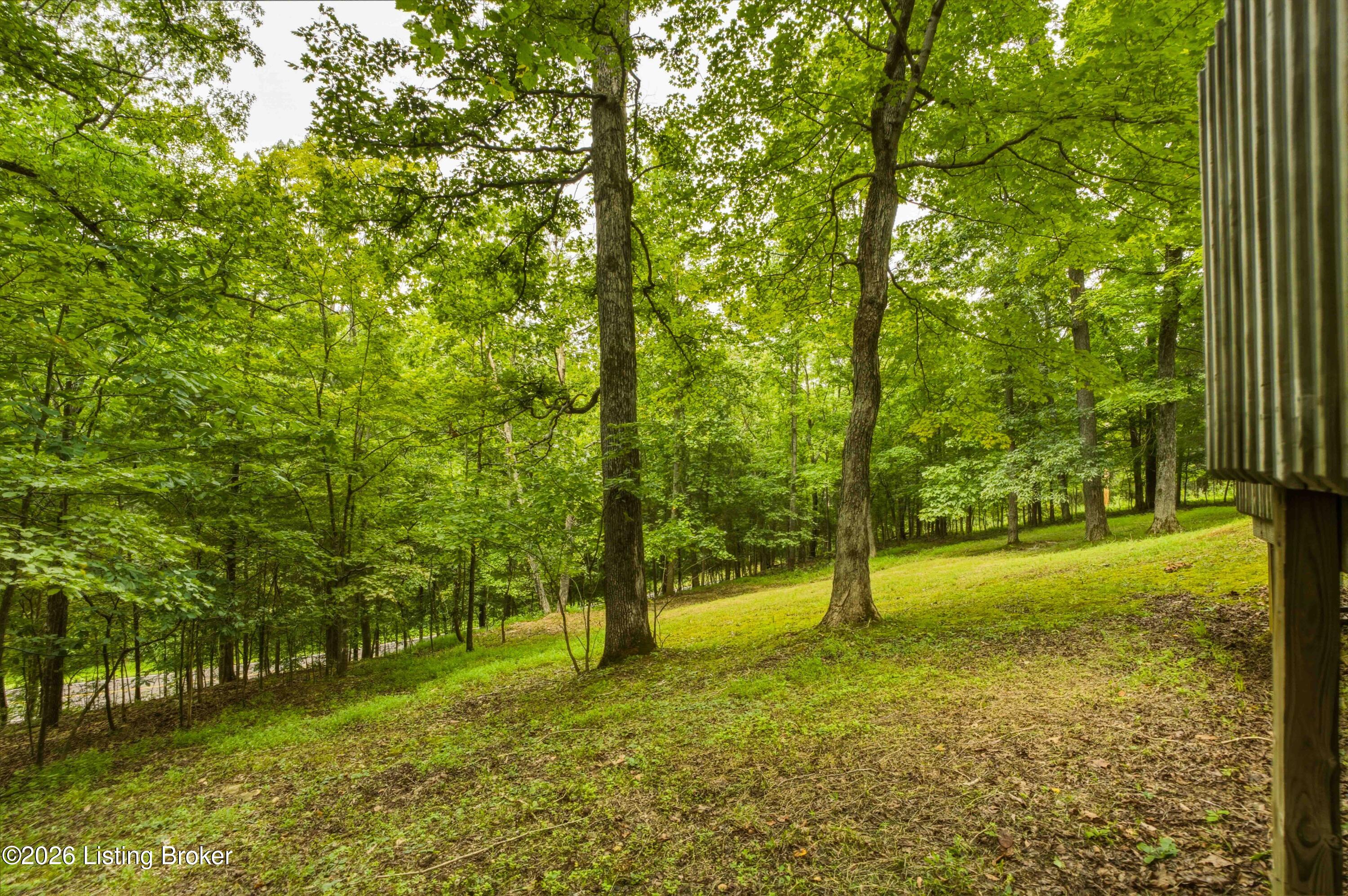 957 Wildflower Ridge Rd Property Photo 52