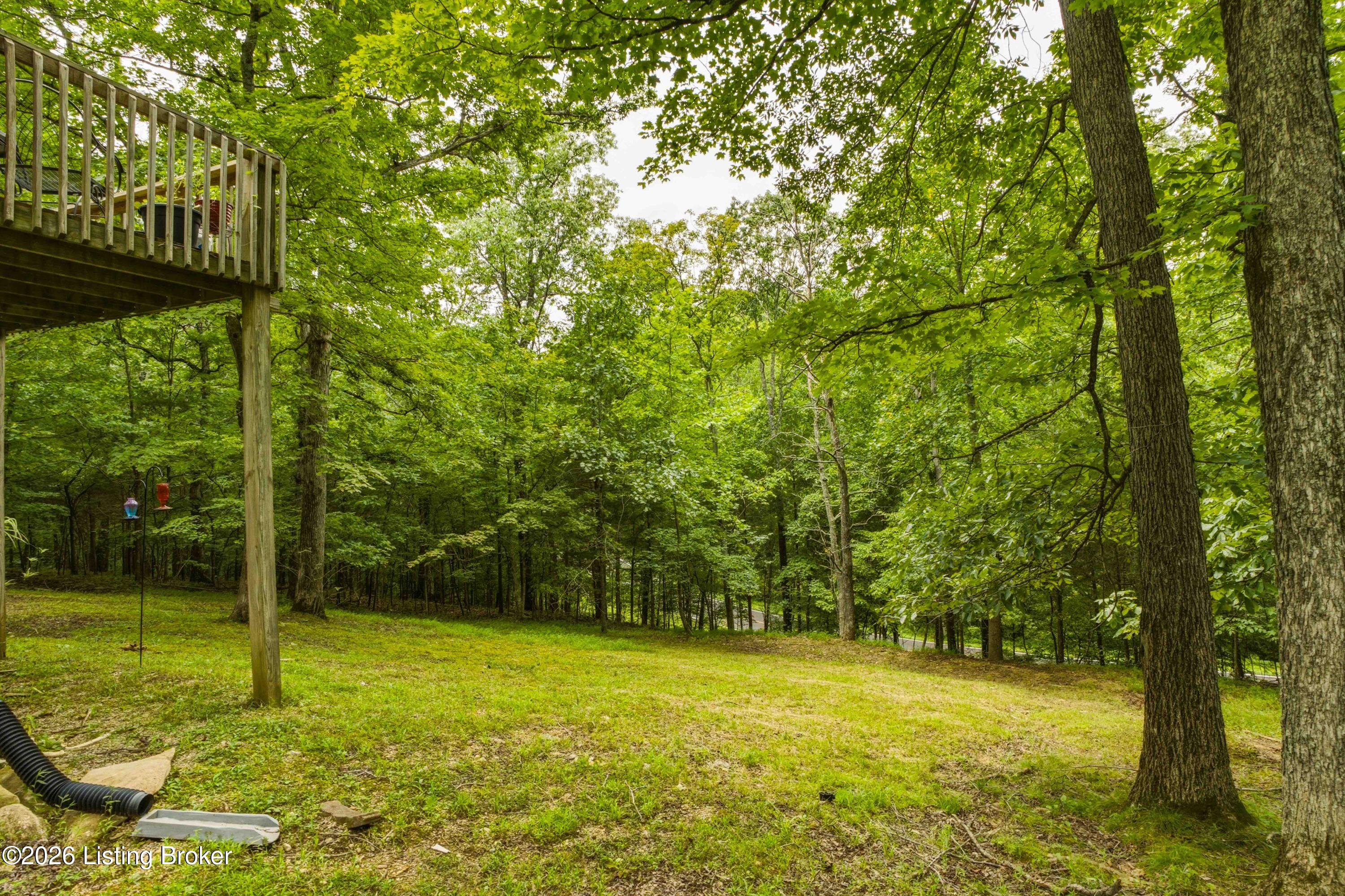 957 Wildflower Ridge Rd Property Photo 58