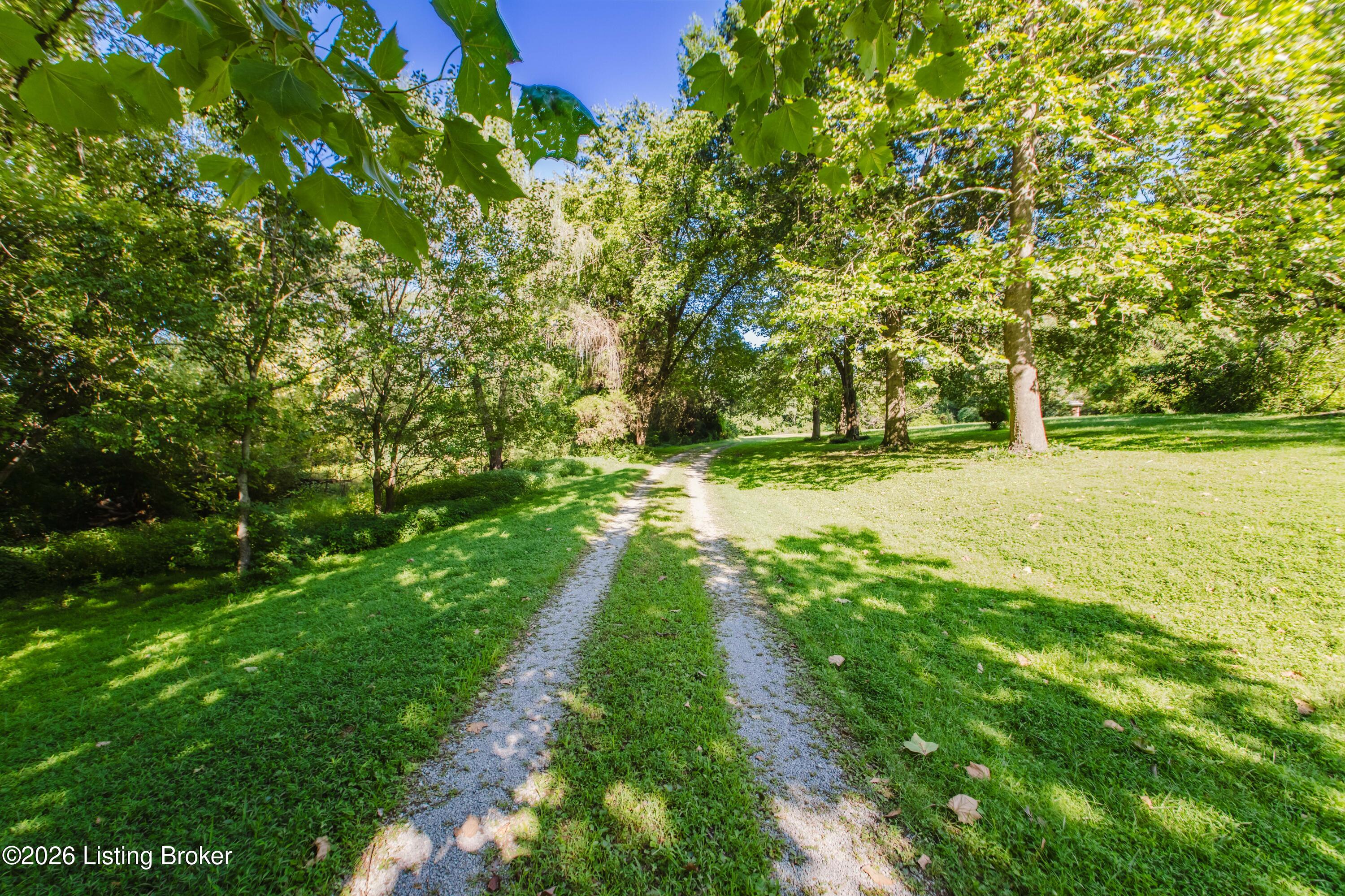 10122 Mary Dell Ln Property Photo 35