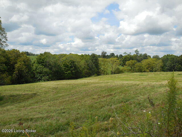 239 Sewell Rd Property Photo 9