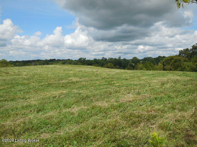 239 Sewell Rd Property Photo 15