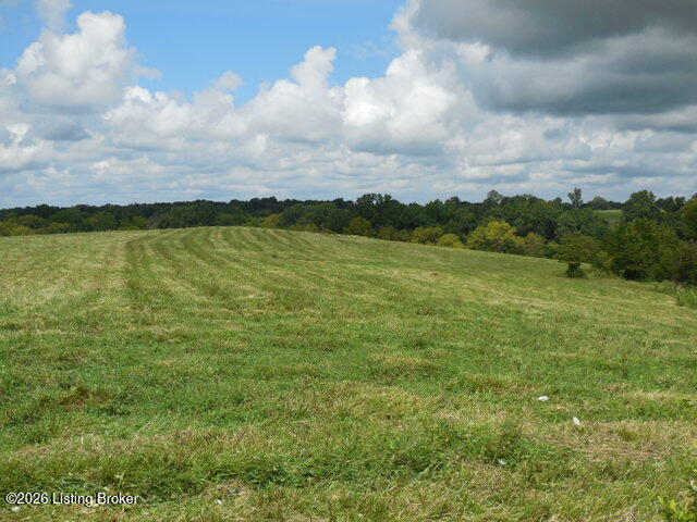 239 Sewell Rd Property Photo 21