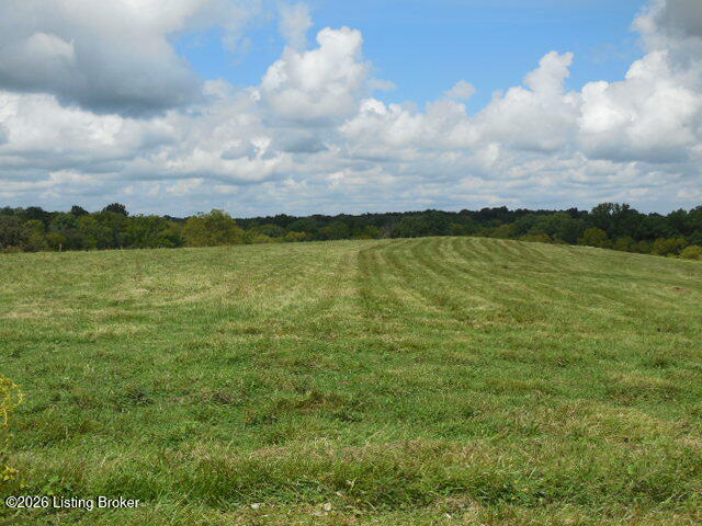 239 Sewell Rd Property Photo 23