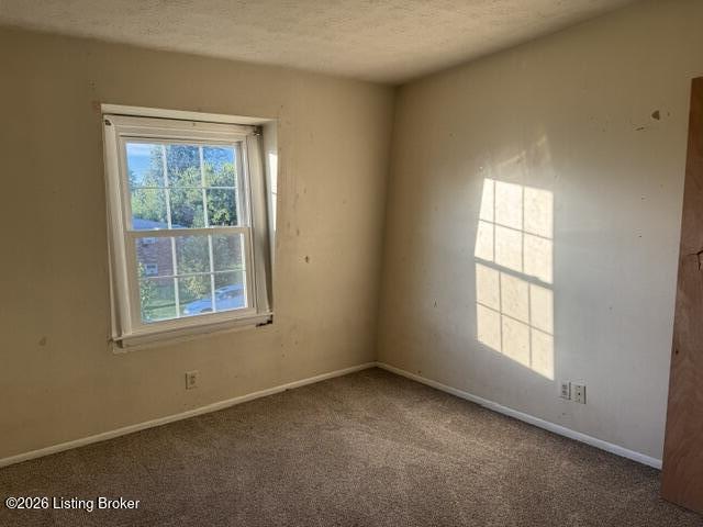 8714 Bayberry Pl Apt 12 Property Photo 5
