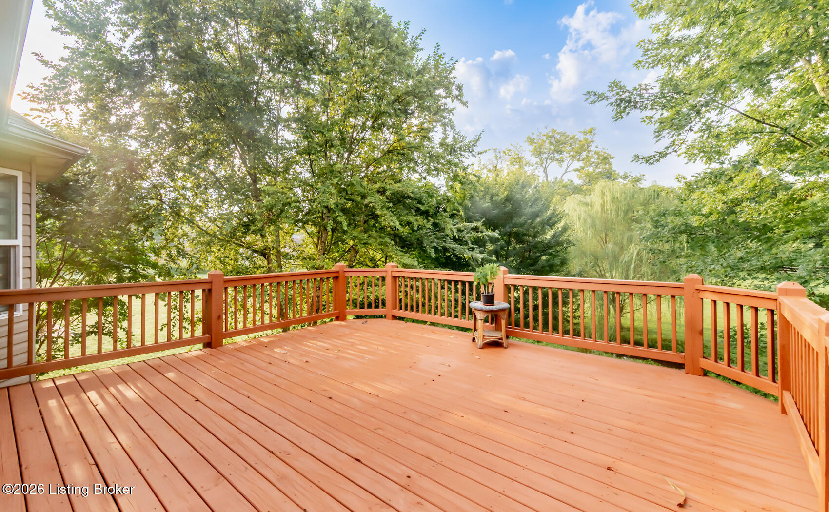 3425 Stony Farm Dr Property Photo 44