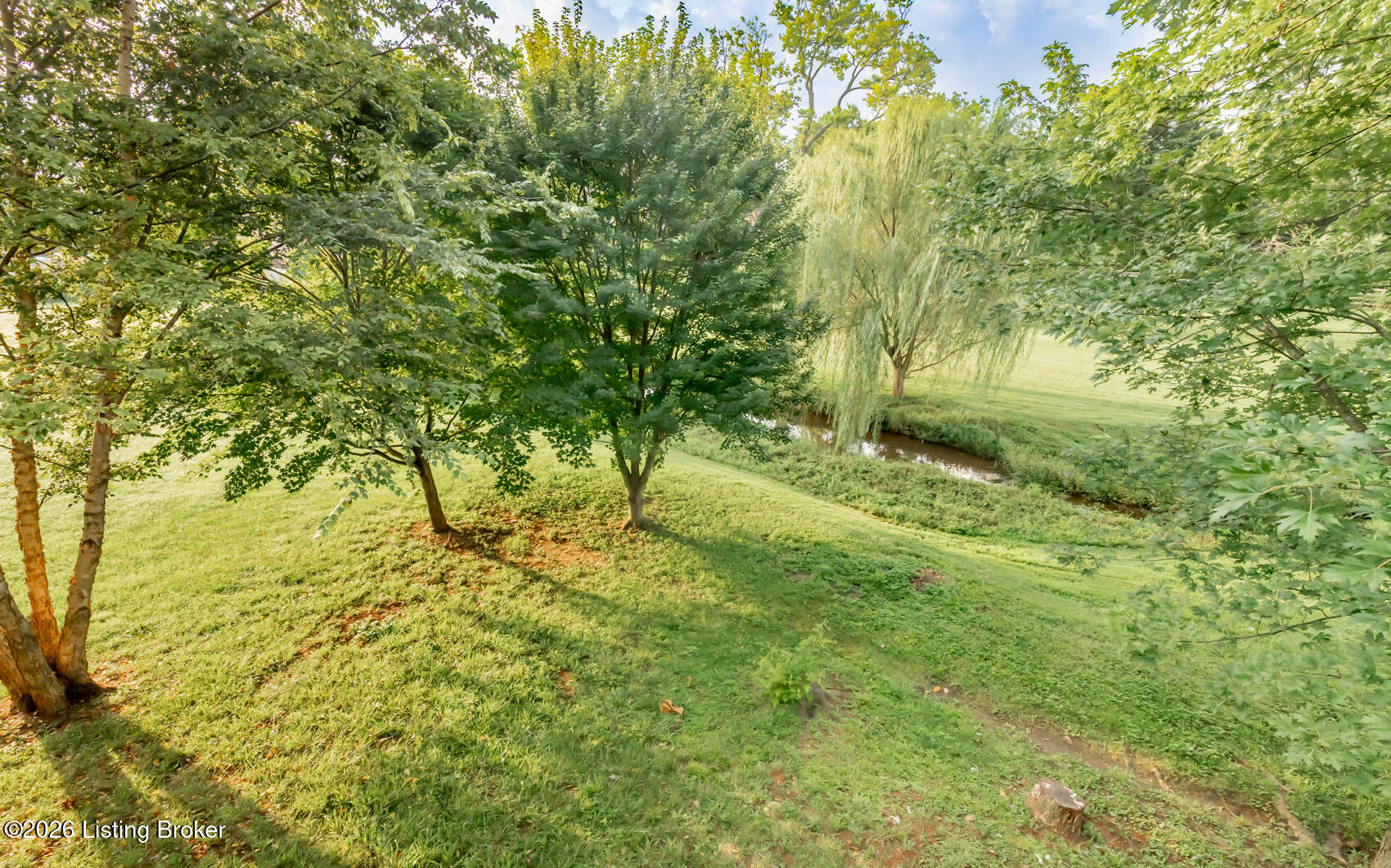 3425 Stony Farm Dr Property Photo 52