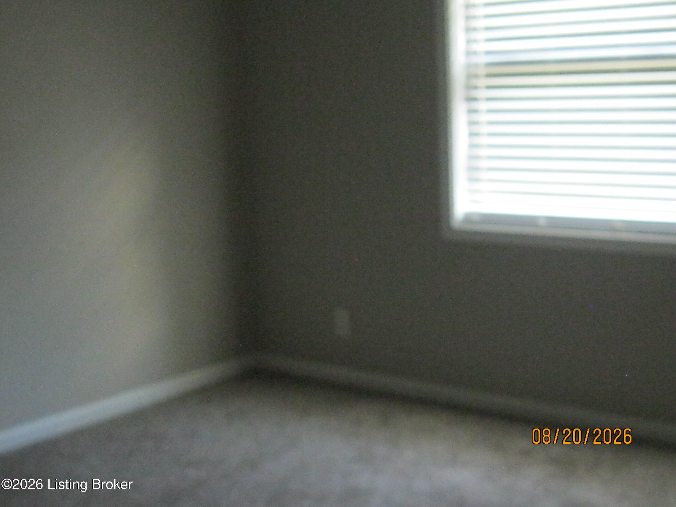 963 Hillview Blvd Property Photo 12