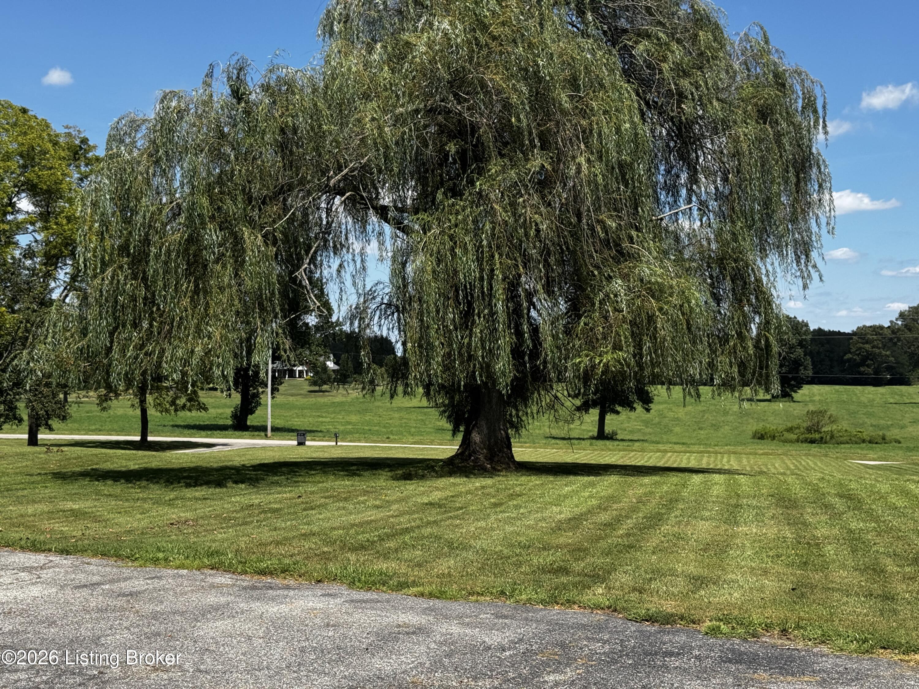643 Molly Brown Rd Property Photo 3