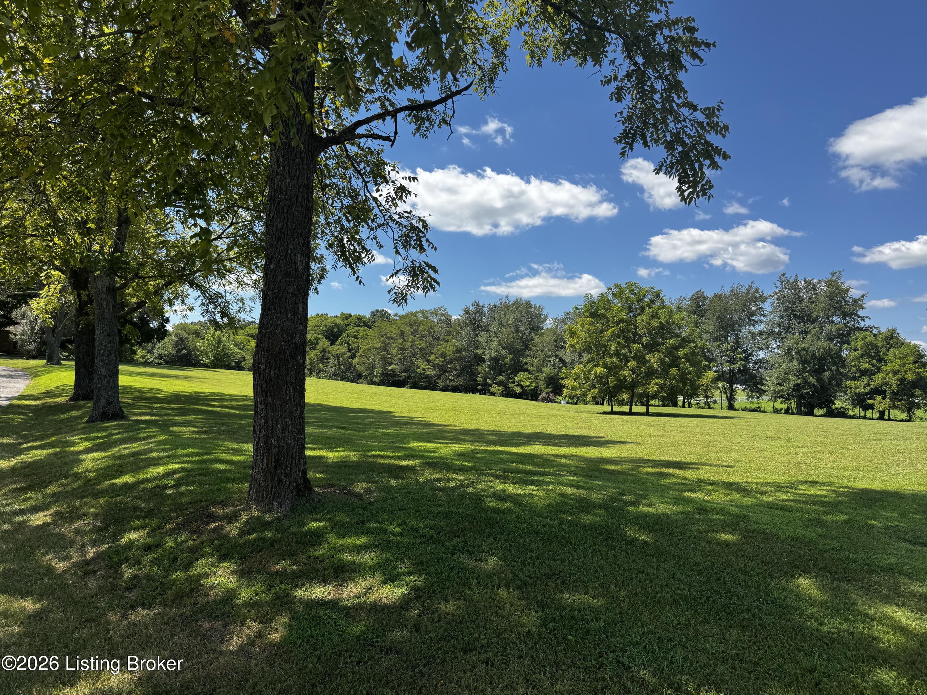 643 Molly Brown Rd Property Photo 4