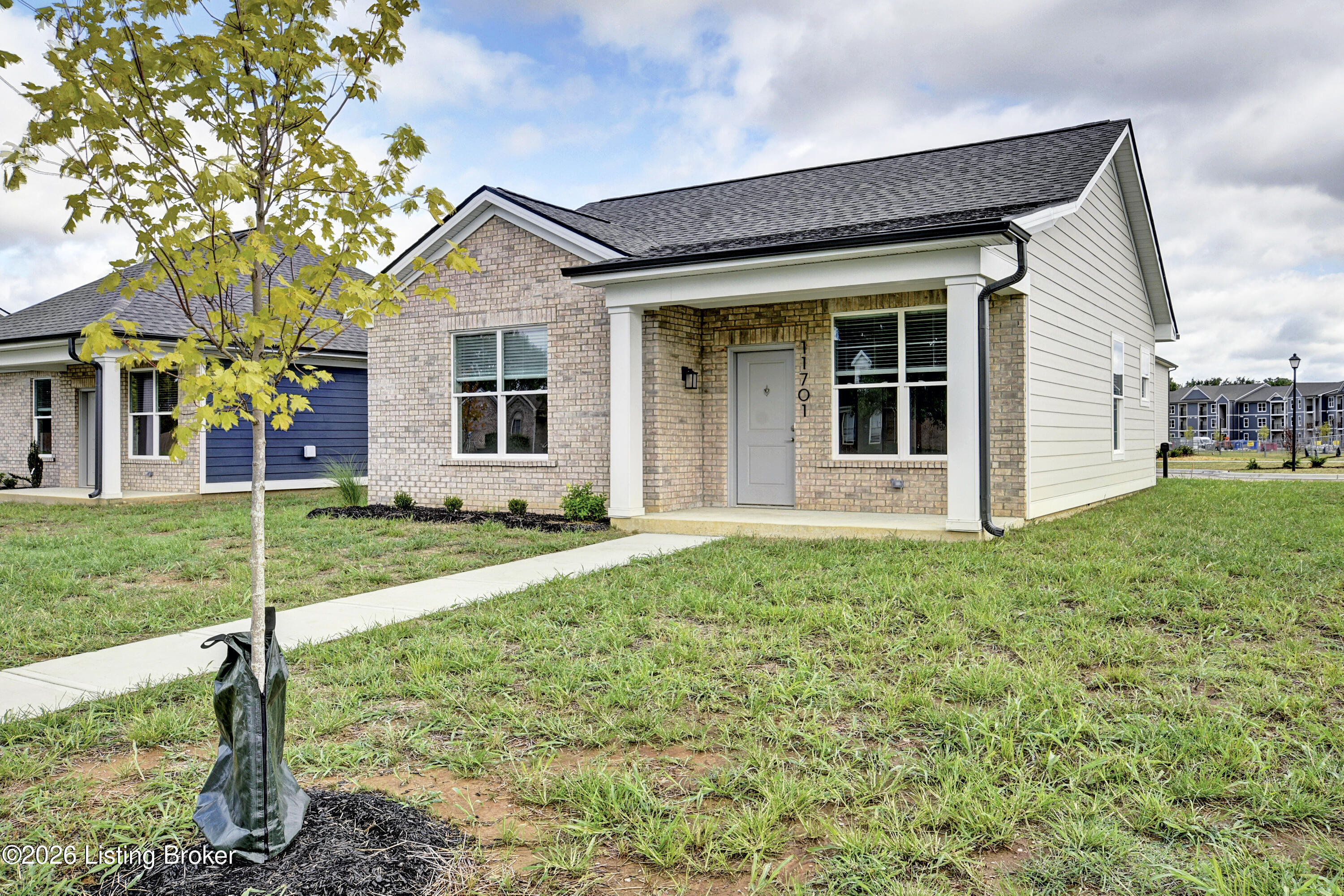 11701 Longevity Ln Property Photo 22