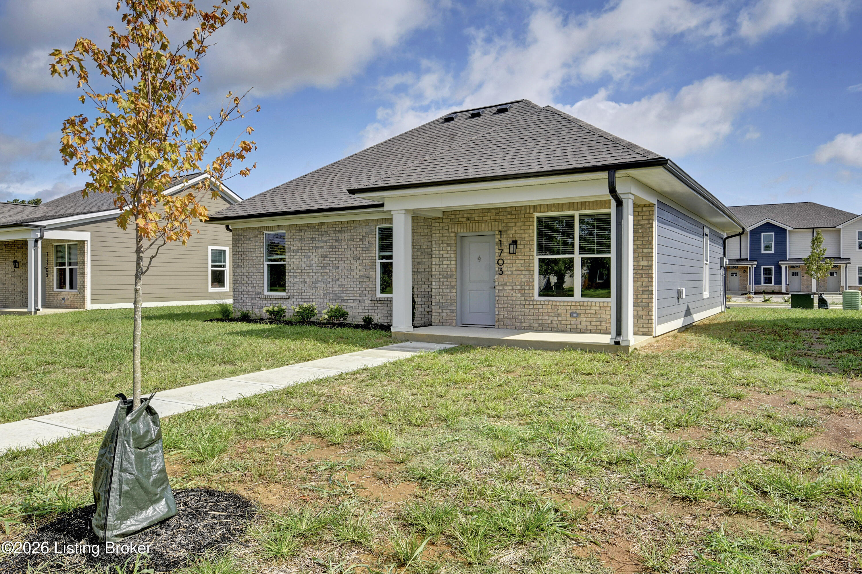 11703 Longevity Property Photo 20