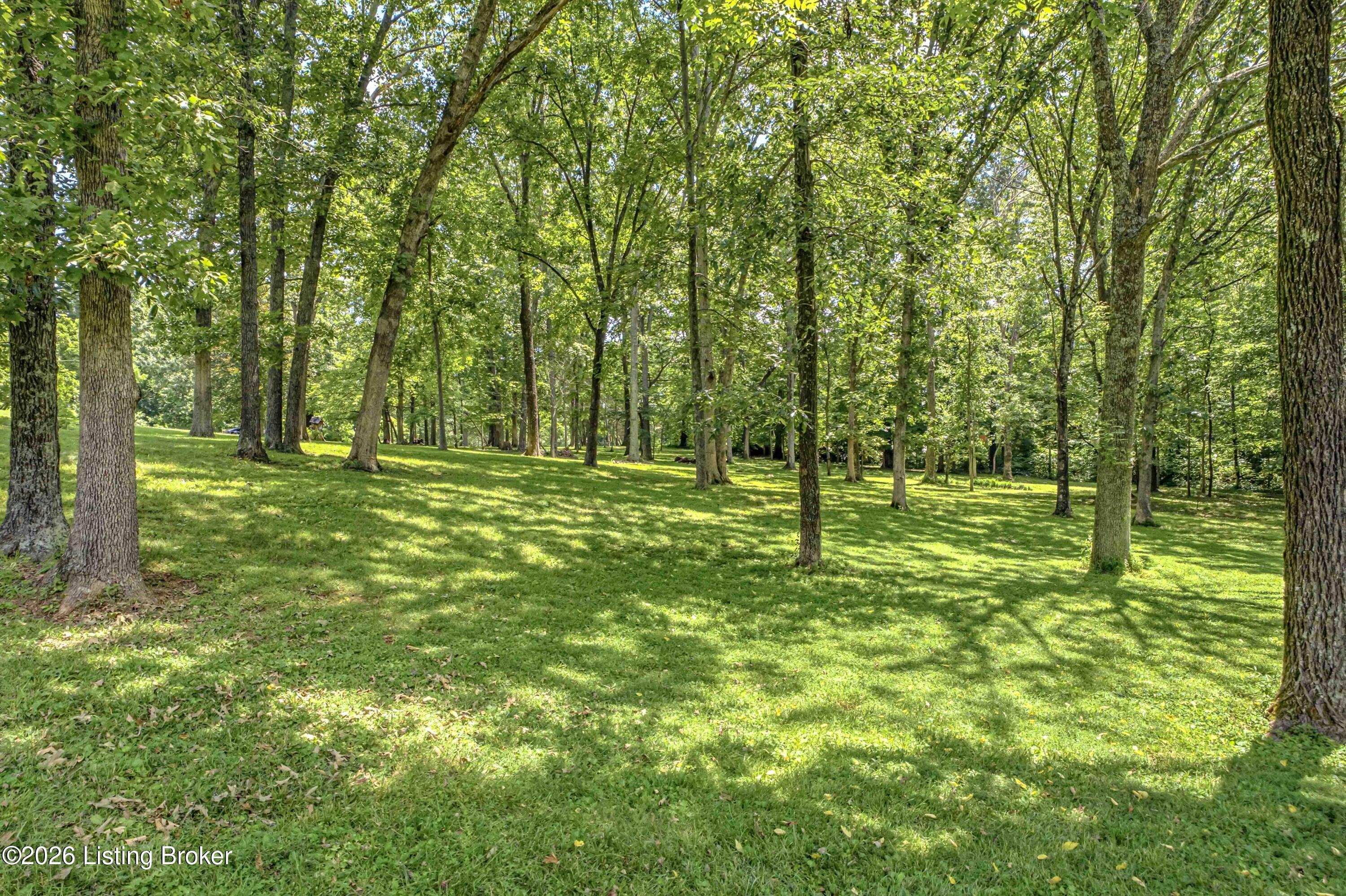 325 Quail Run Rd Property Photo 29