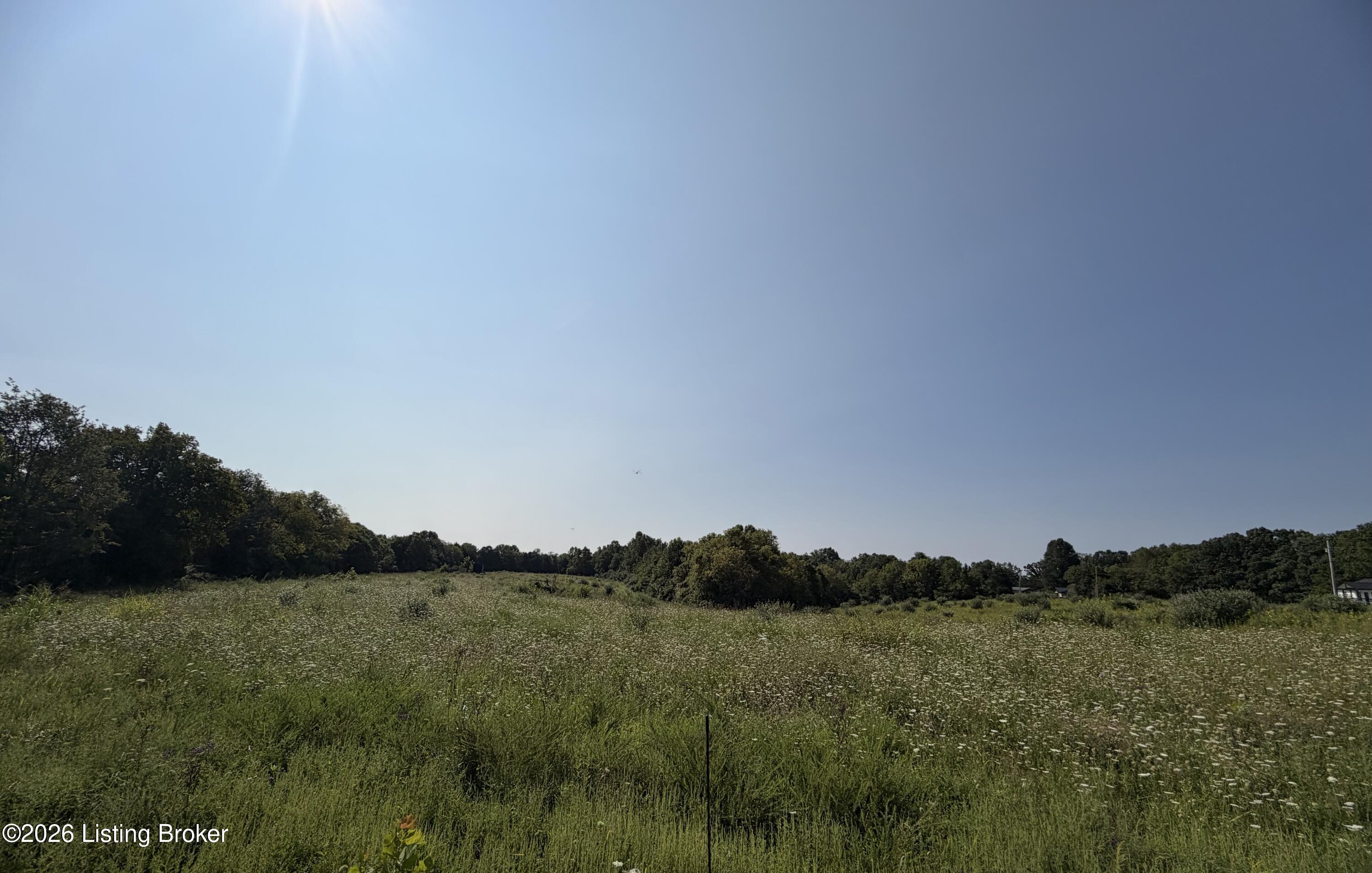 168 Wooded Ridge Rd Property Photo 1