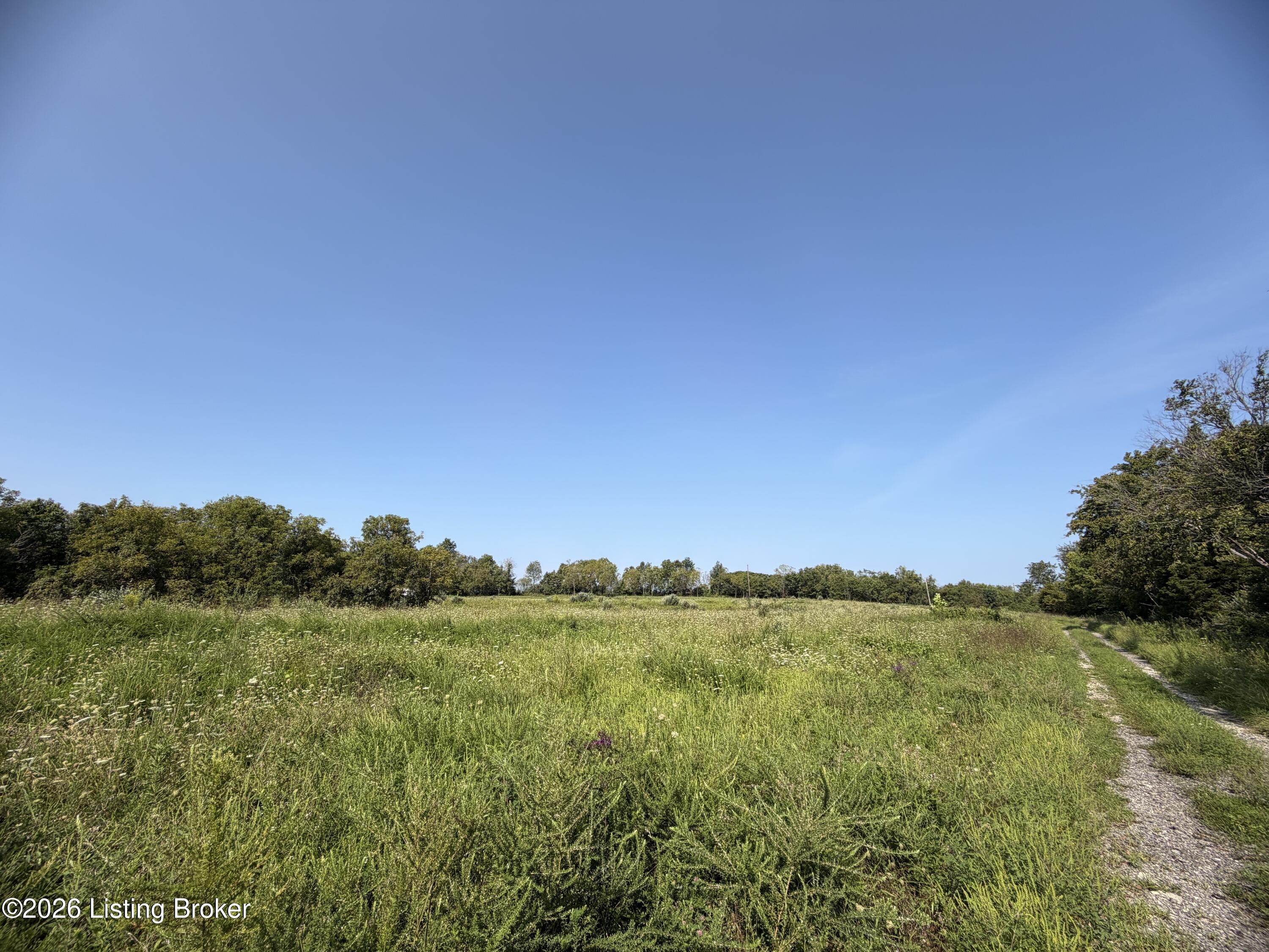 168 Wooded Ridge Rd Property Photo 3