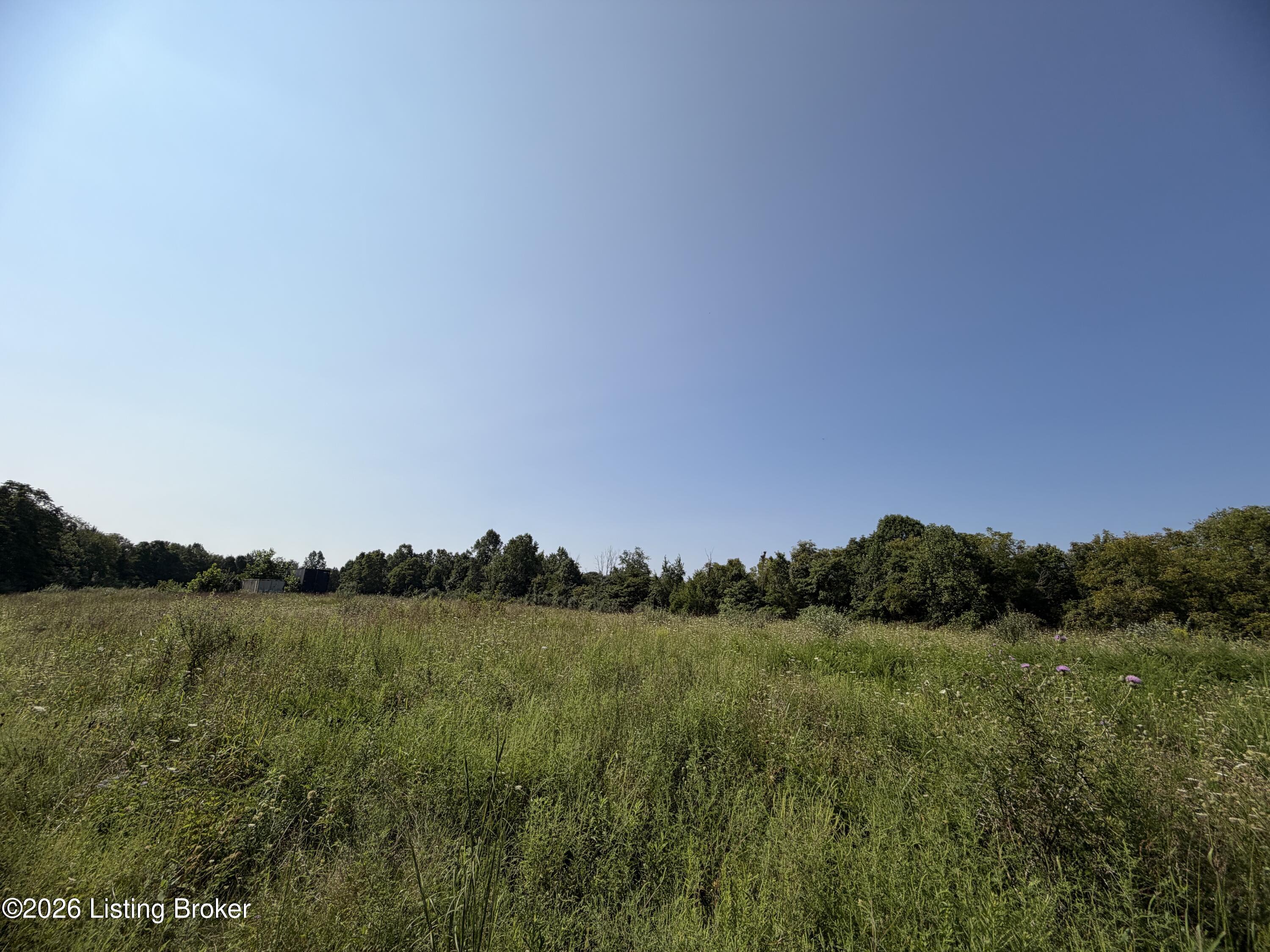 168 Wooded Ridge Rd Property Photo 4