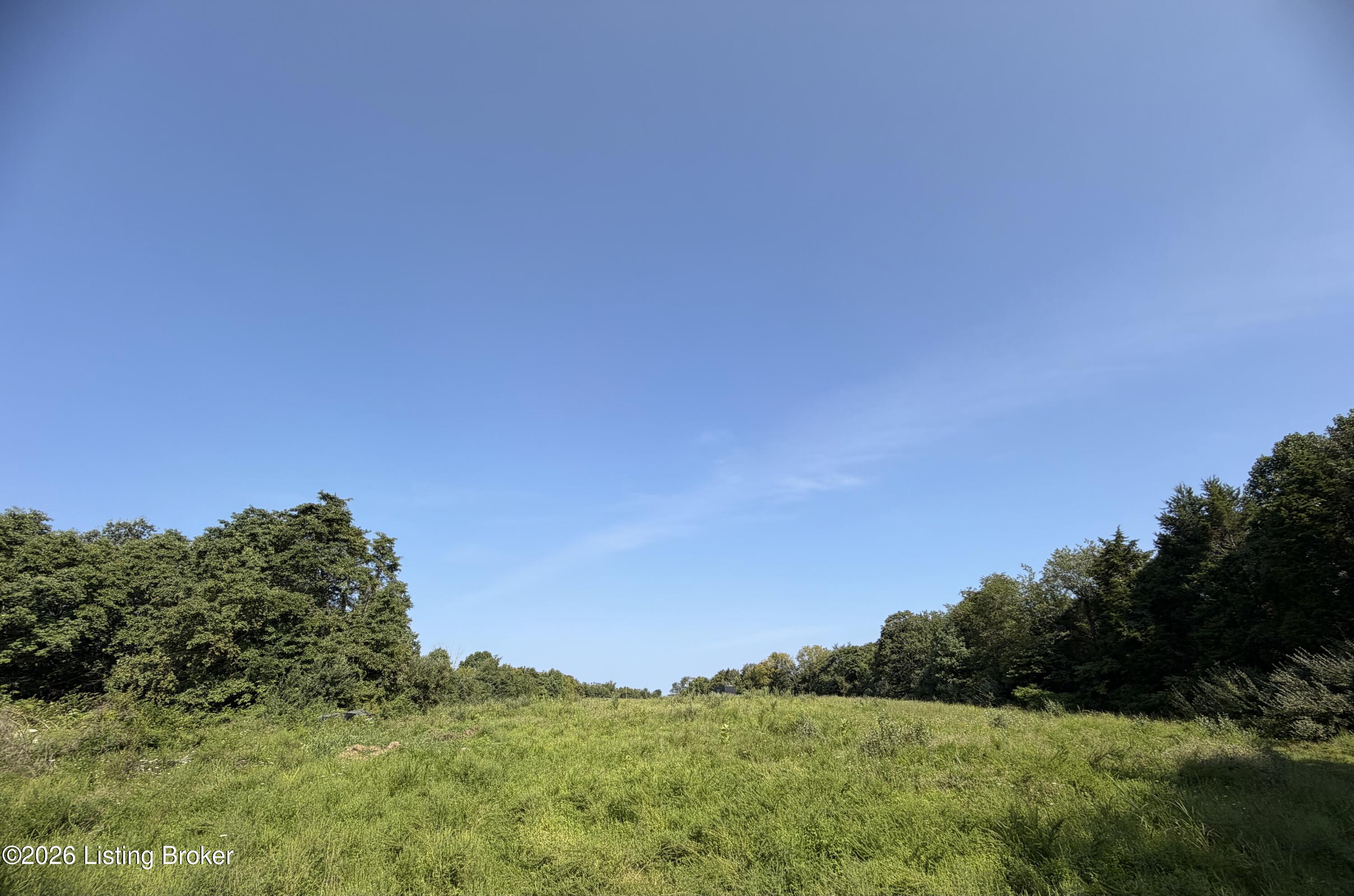 168 Wooded Ridge Rd Property Photo 5