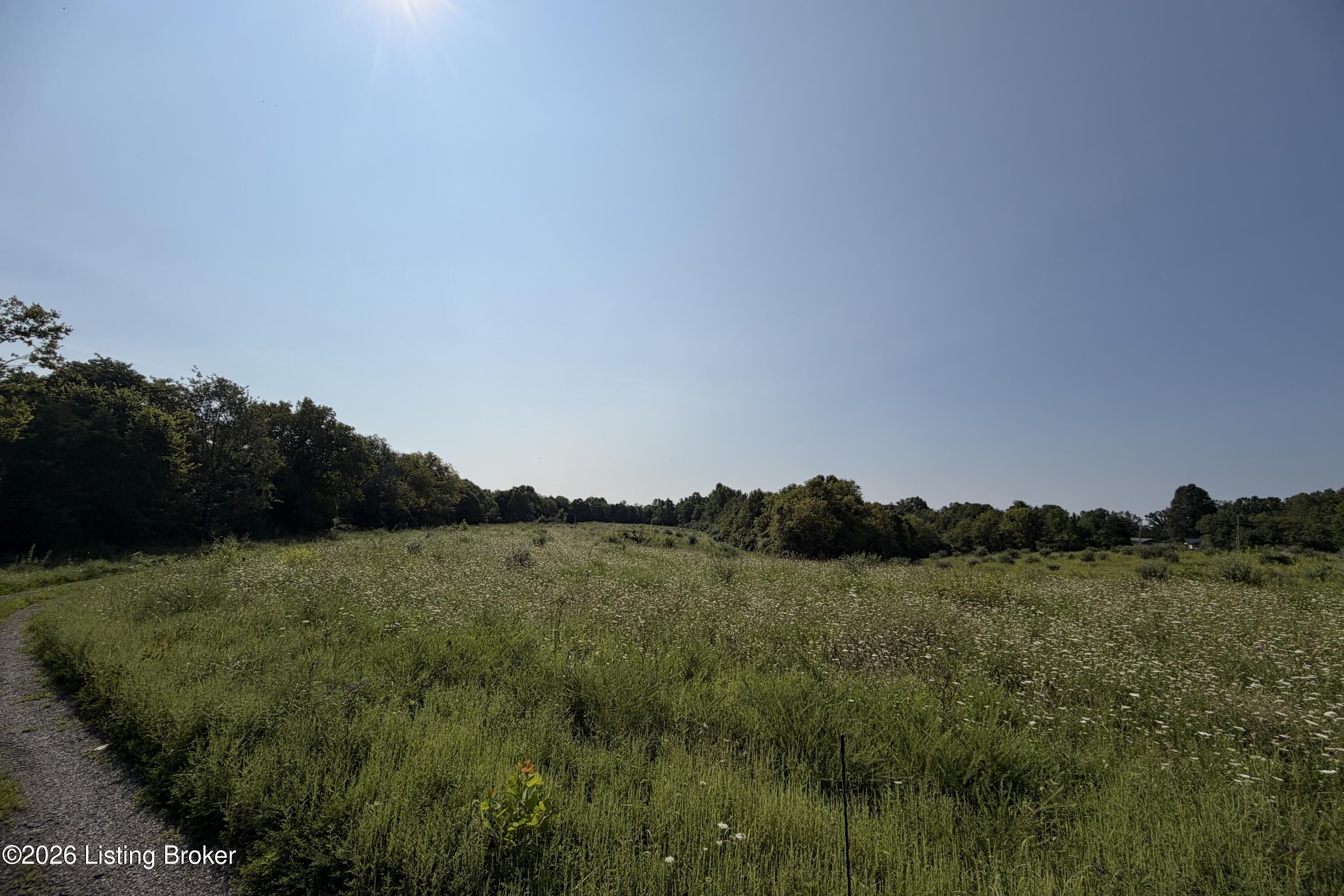 168 Wooded Ridge Rd Property Photo 6