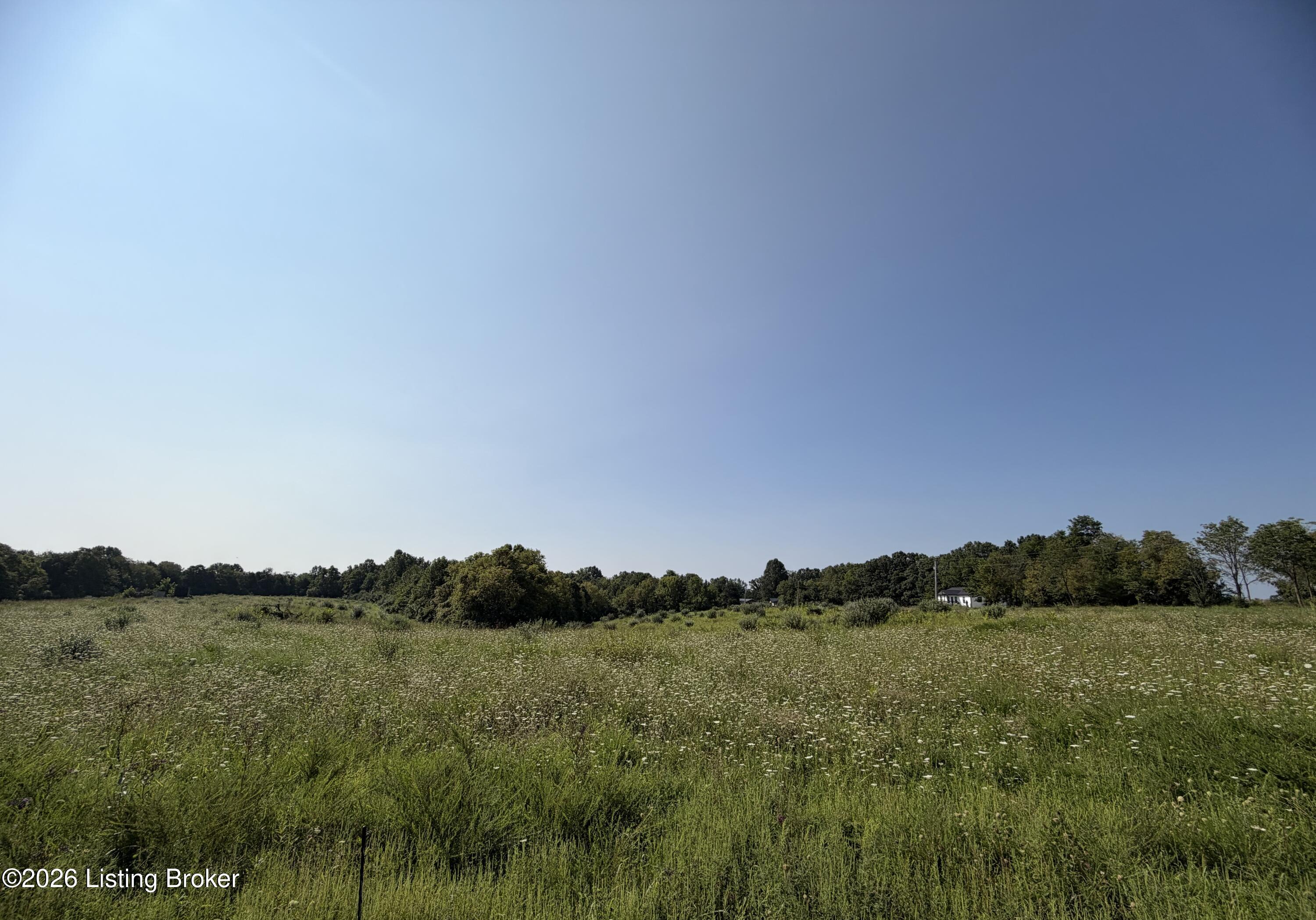 168 Wooded Ridge Rd Property Photo 7