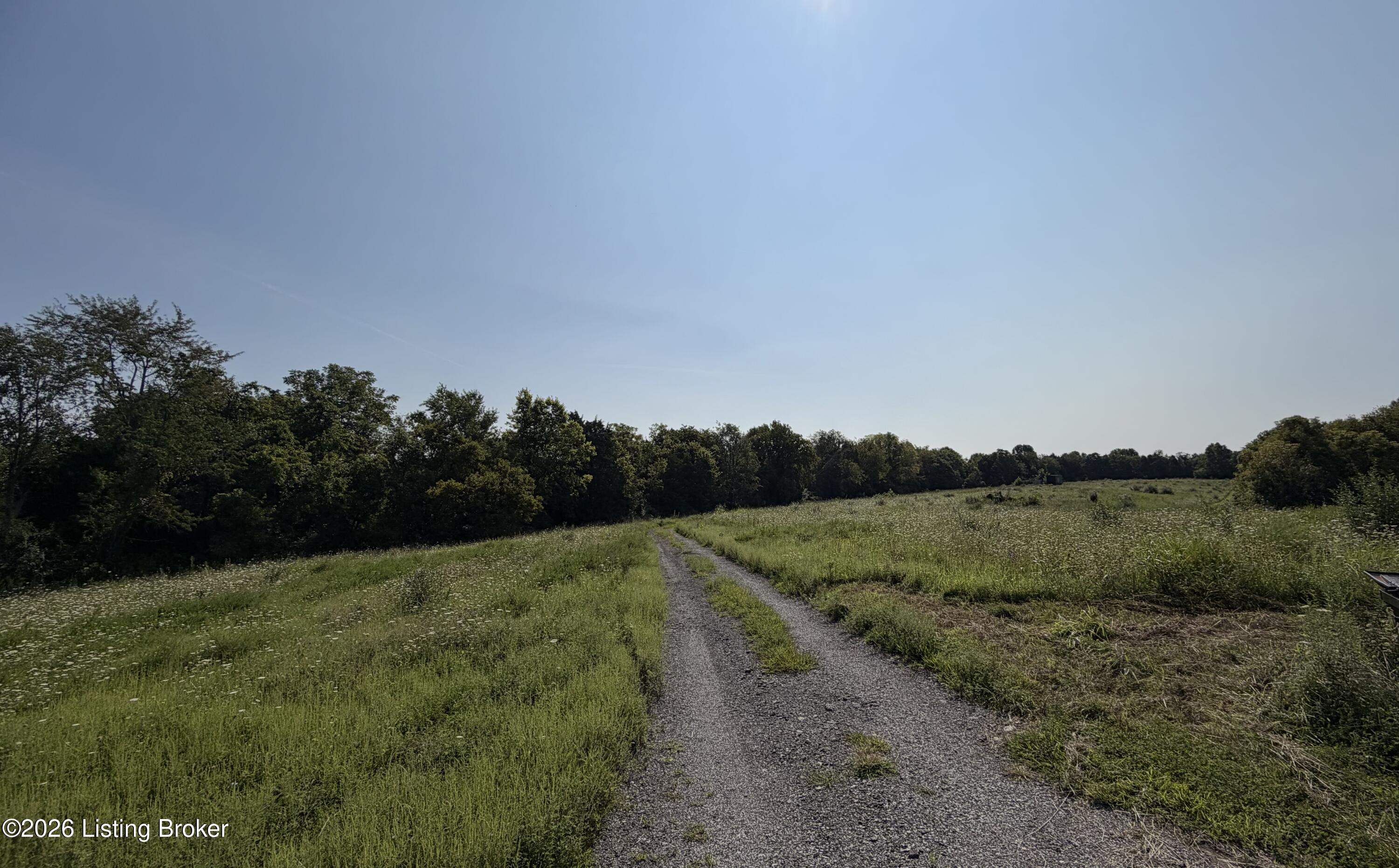 168 Wooded Ridge Rd Property Photo 8