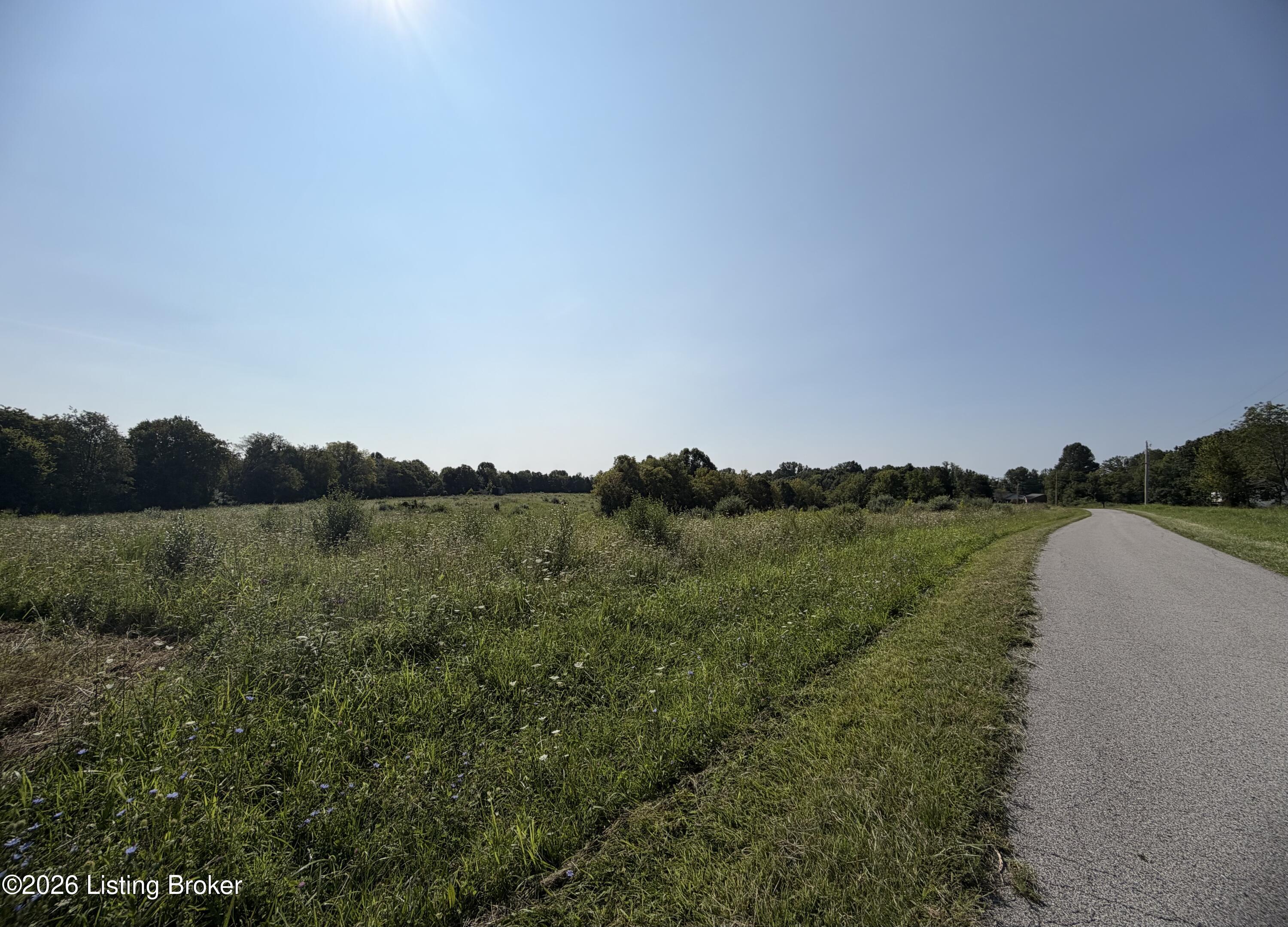 168 Wooded Ridge Rd Property Photo 10