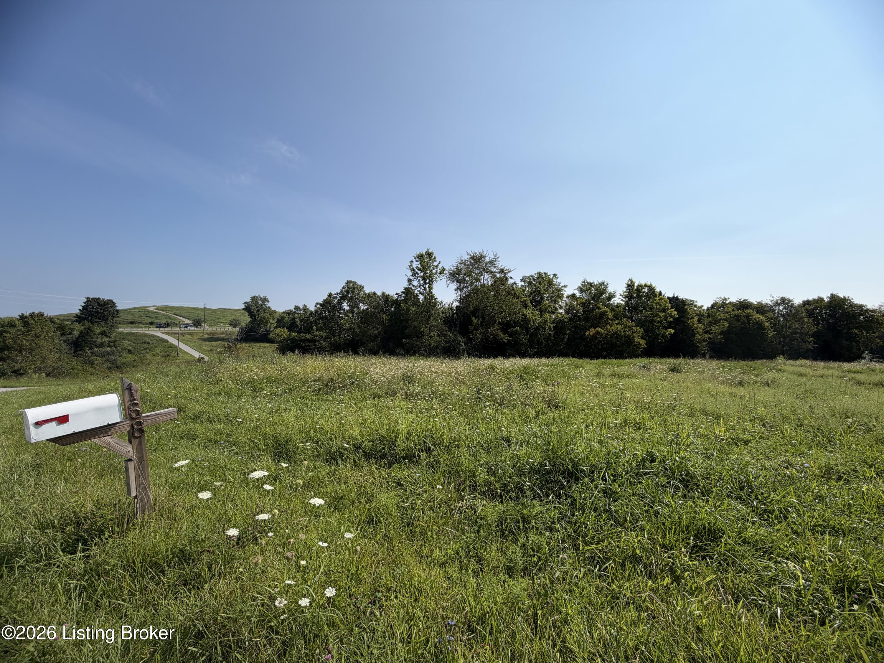 168 Wooded Ridge Rd Property Photo 11