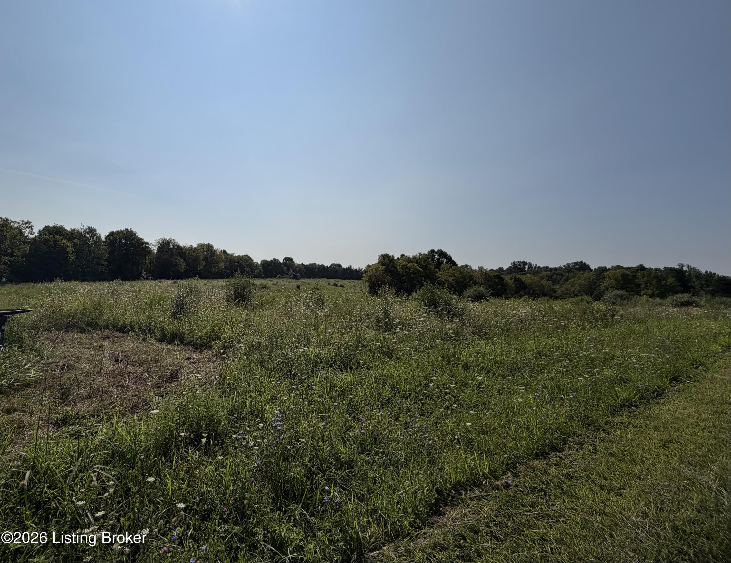168 Wooded Ridge Rd Property Photo 12