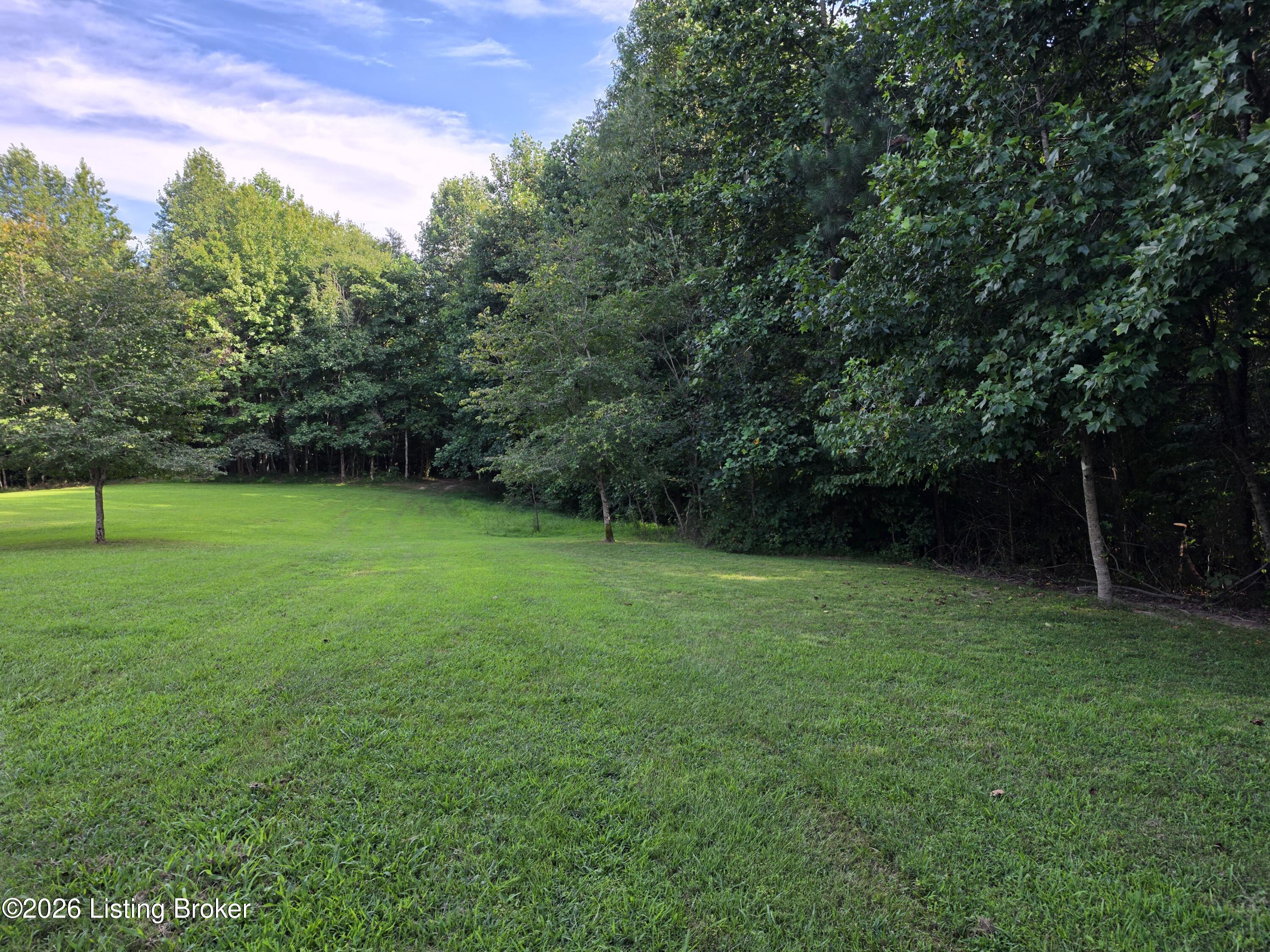 7985 Knifley Rd Property Photo 5