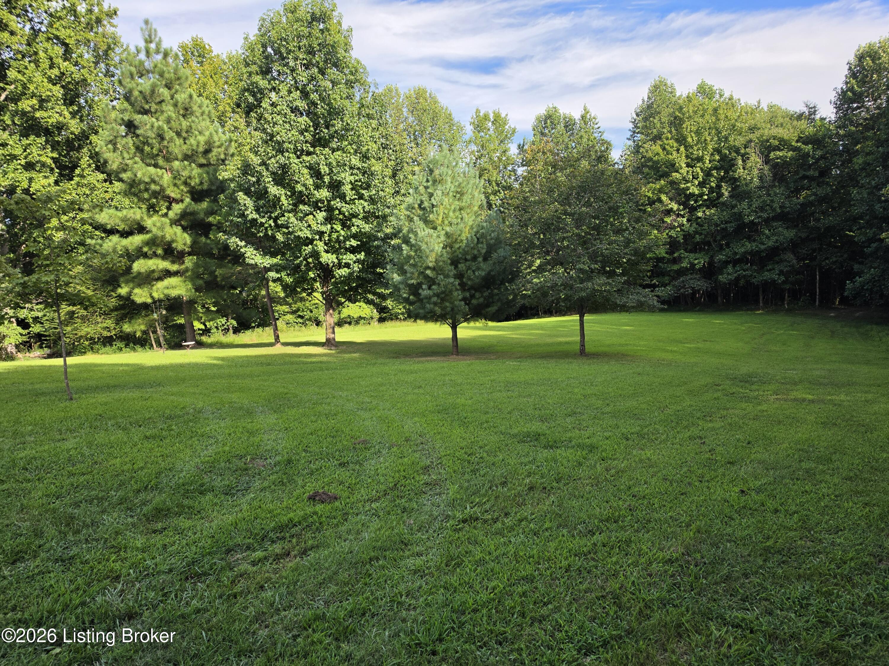 7985 Knifley Rd Property Photo 6