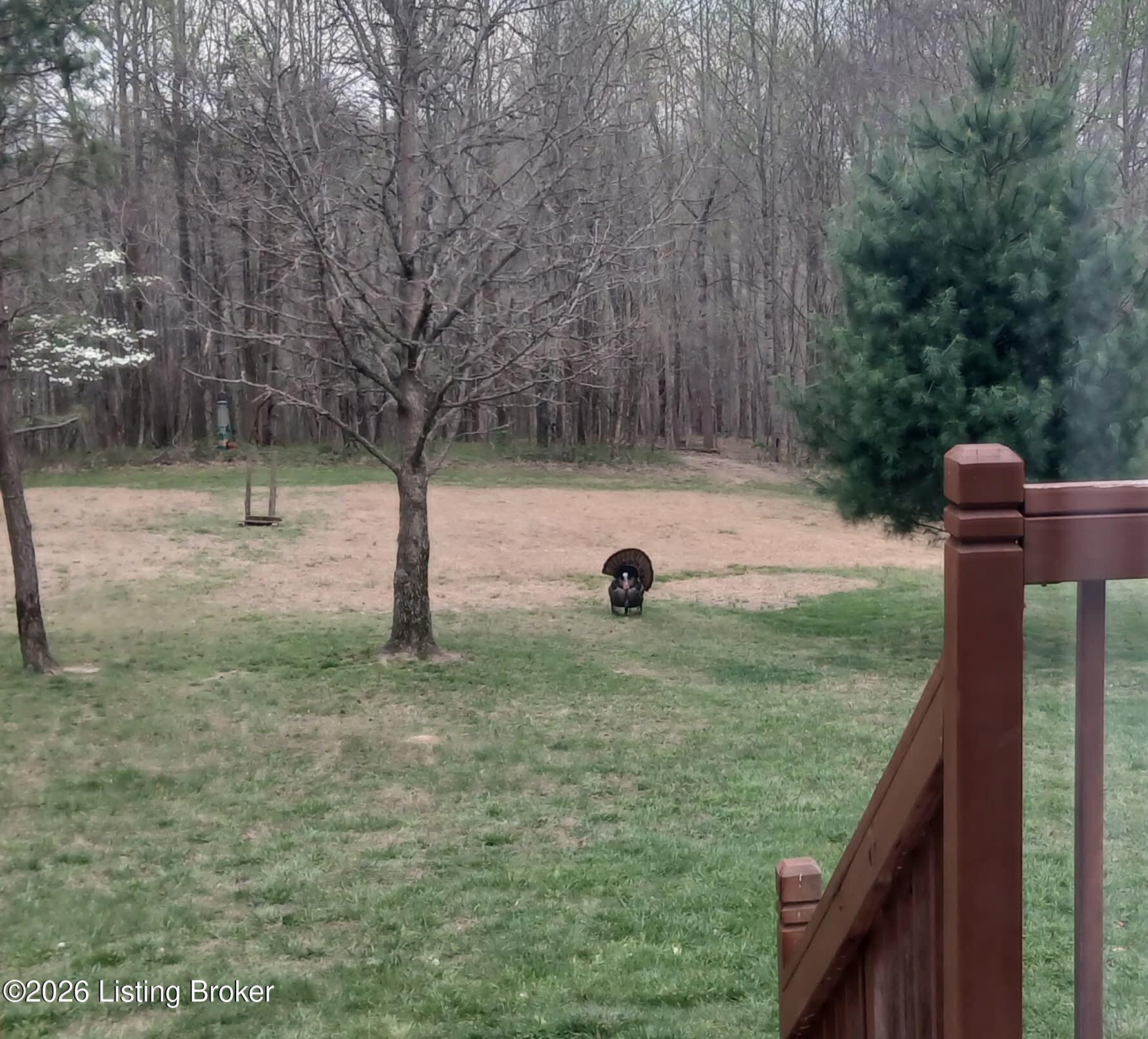 7985 Knifley Rd Property Photo 22