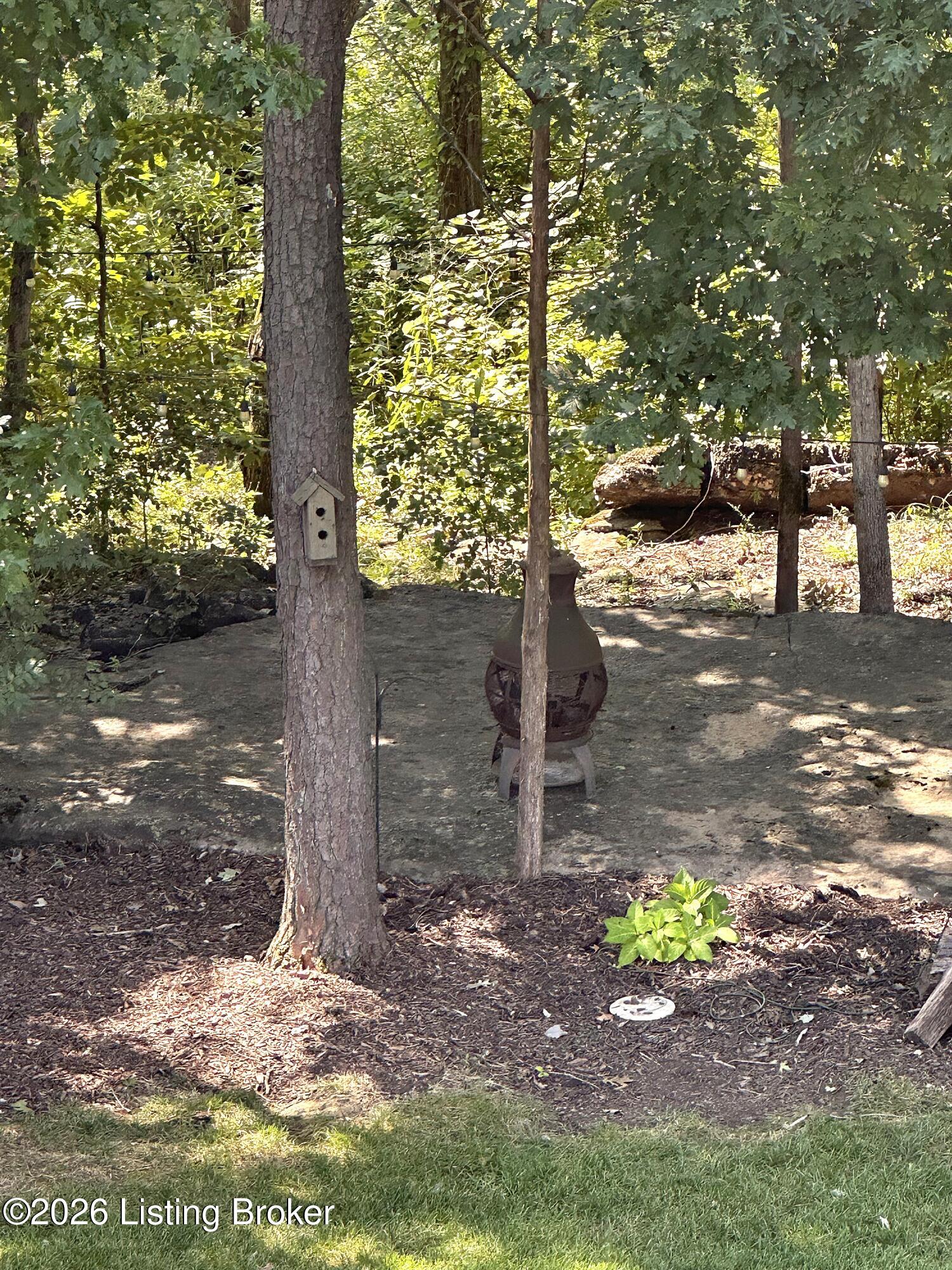 564 Bluff's Edge Dr Property Photo 76