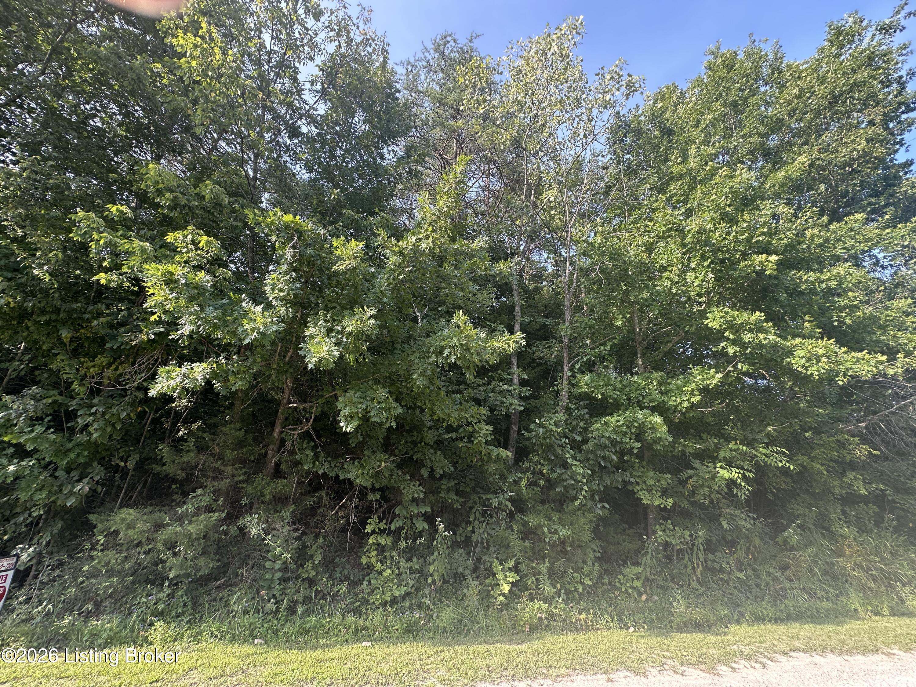 243 Poplar Cir Property Photo 1