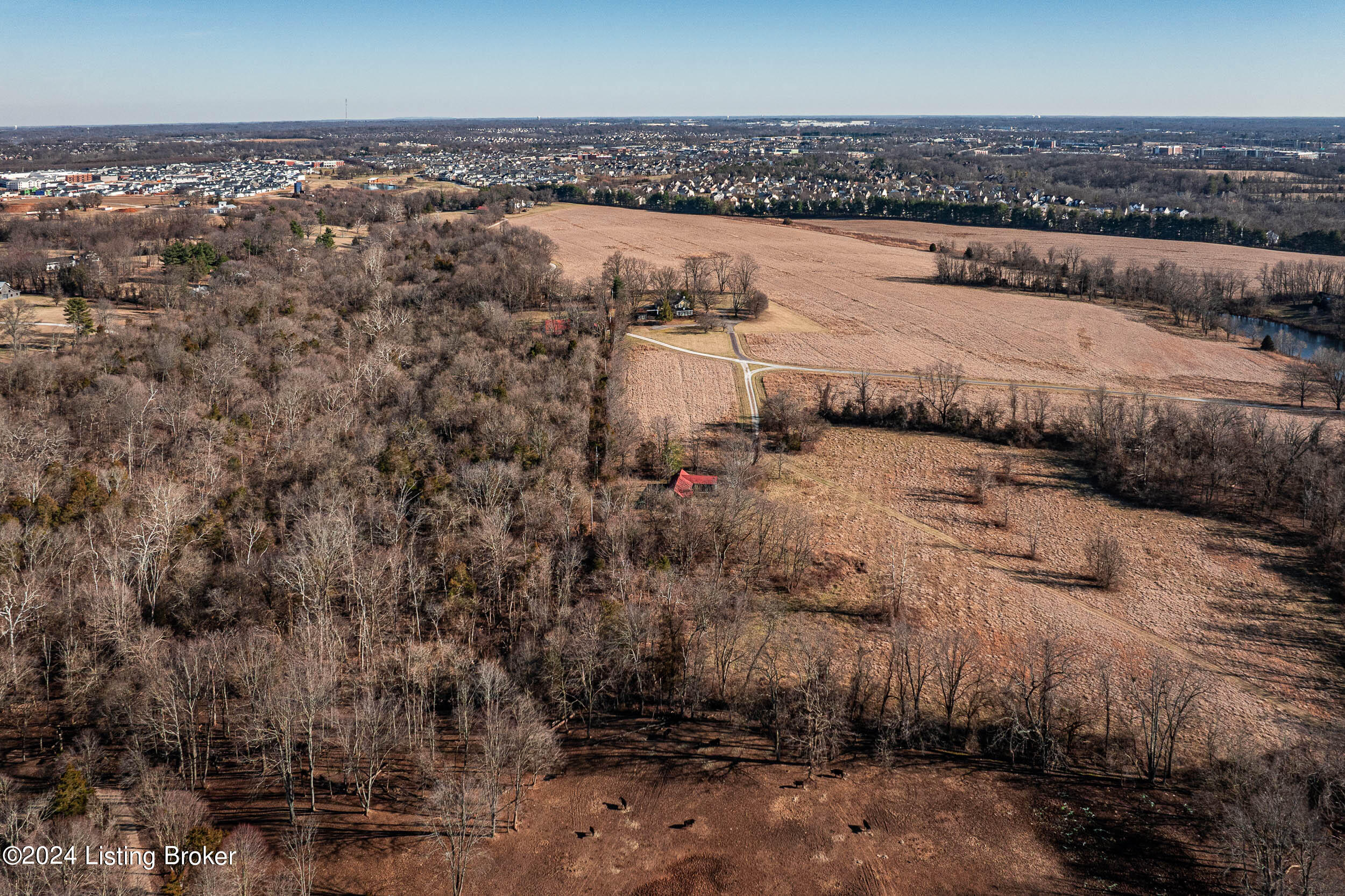8221 Wolf Pen Branch Rd Property Photo 64