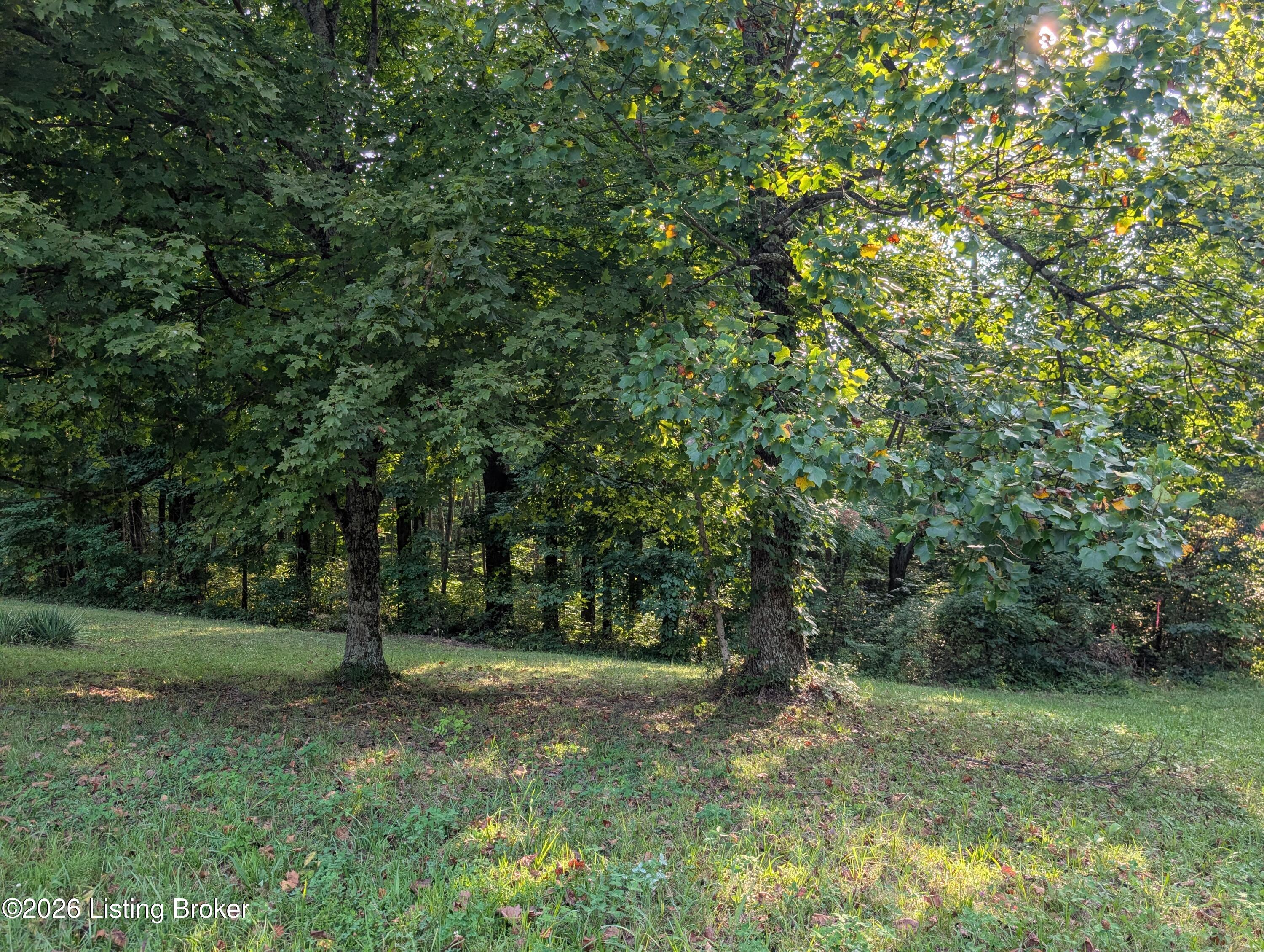 300+ Hackney Ln Property Photo 1