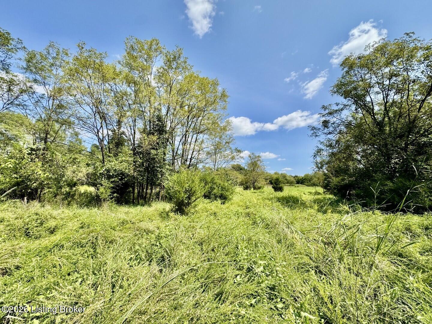 100 Gordon Ford Property Photo 7