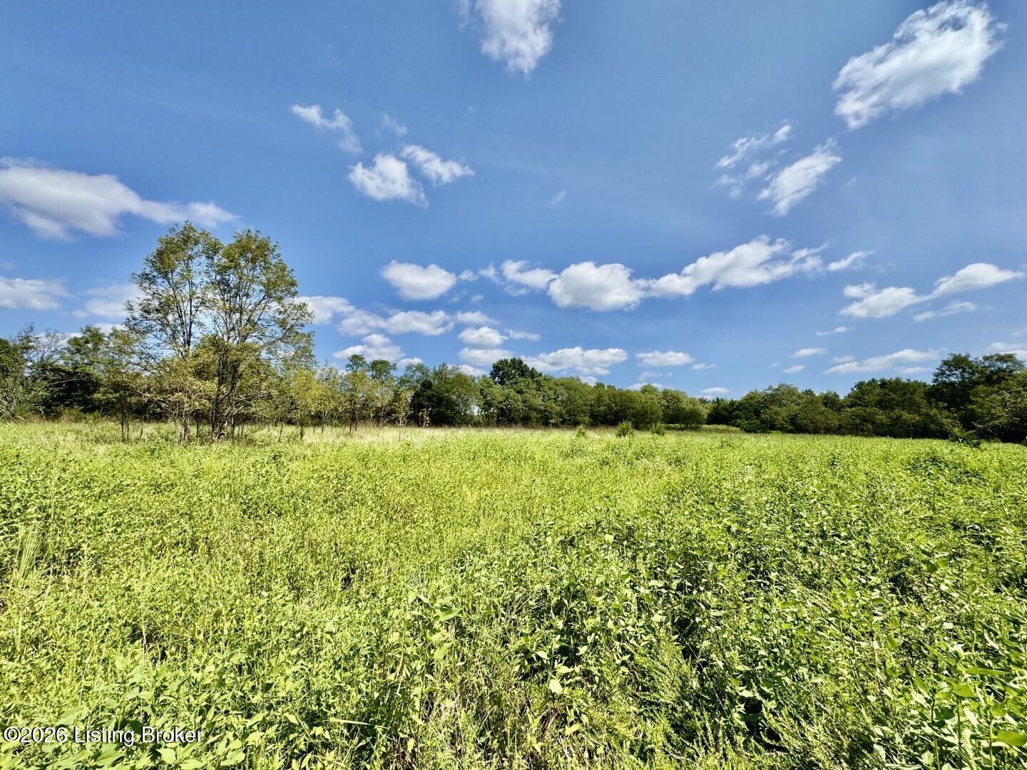 100 Gordon Ford Property Photo 8